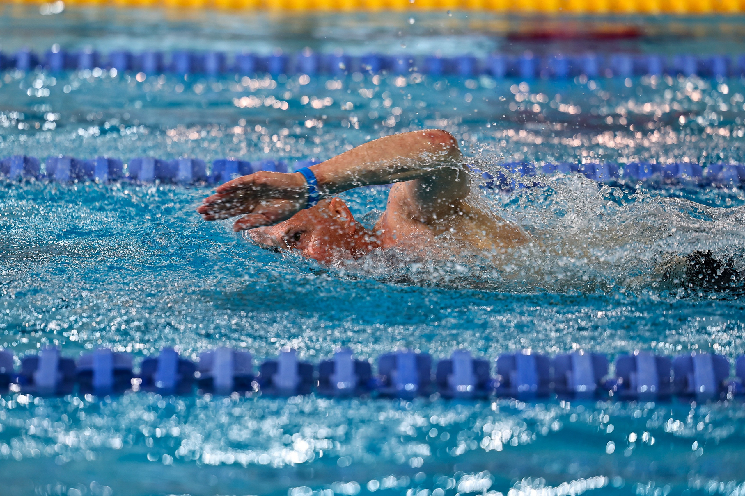 ДЗМ Плавание 2026. Фототерапевт Ева Бунеева