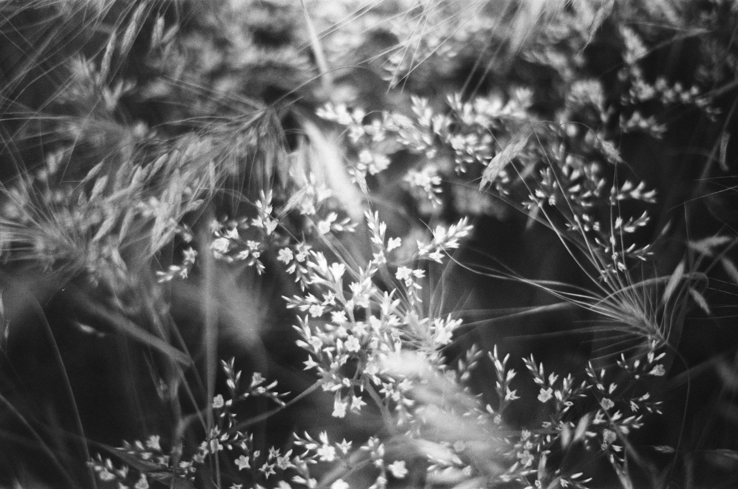 Move me // ukraine, crimea II. EVER EXPOSED