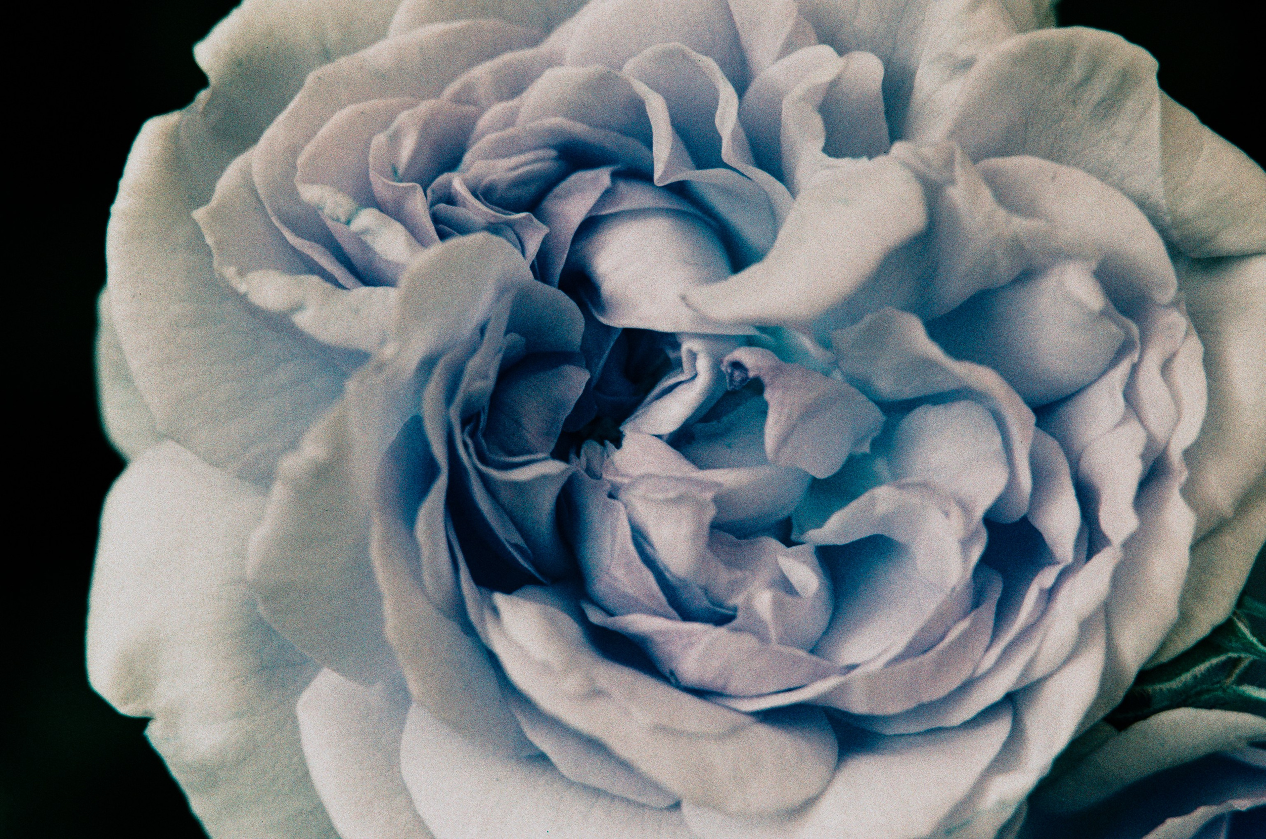 Point of no reply // ukraine, crimea II. EVER EXPOSED