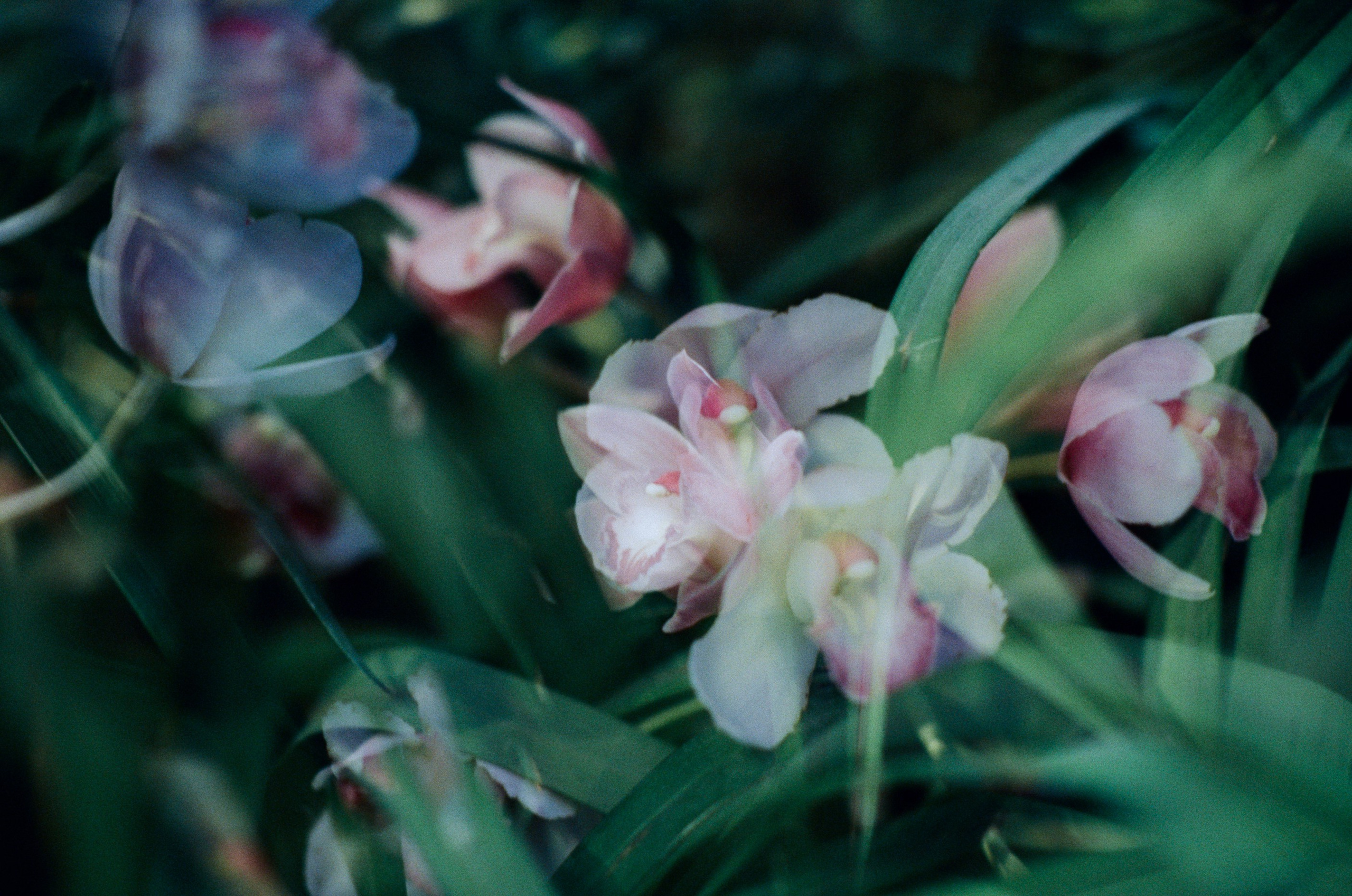 If i get high III. EVER EXPOSED