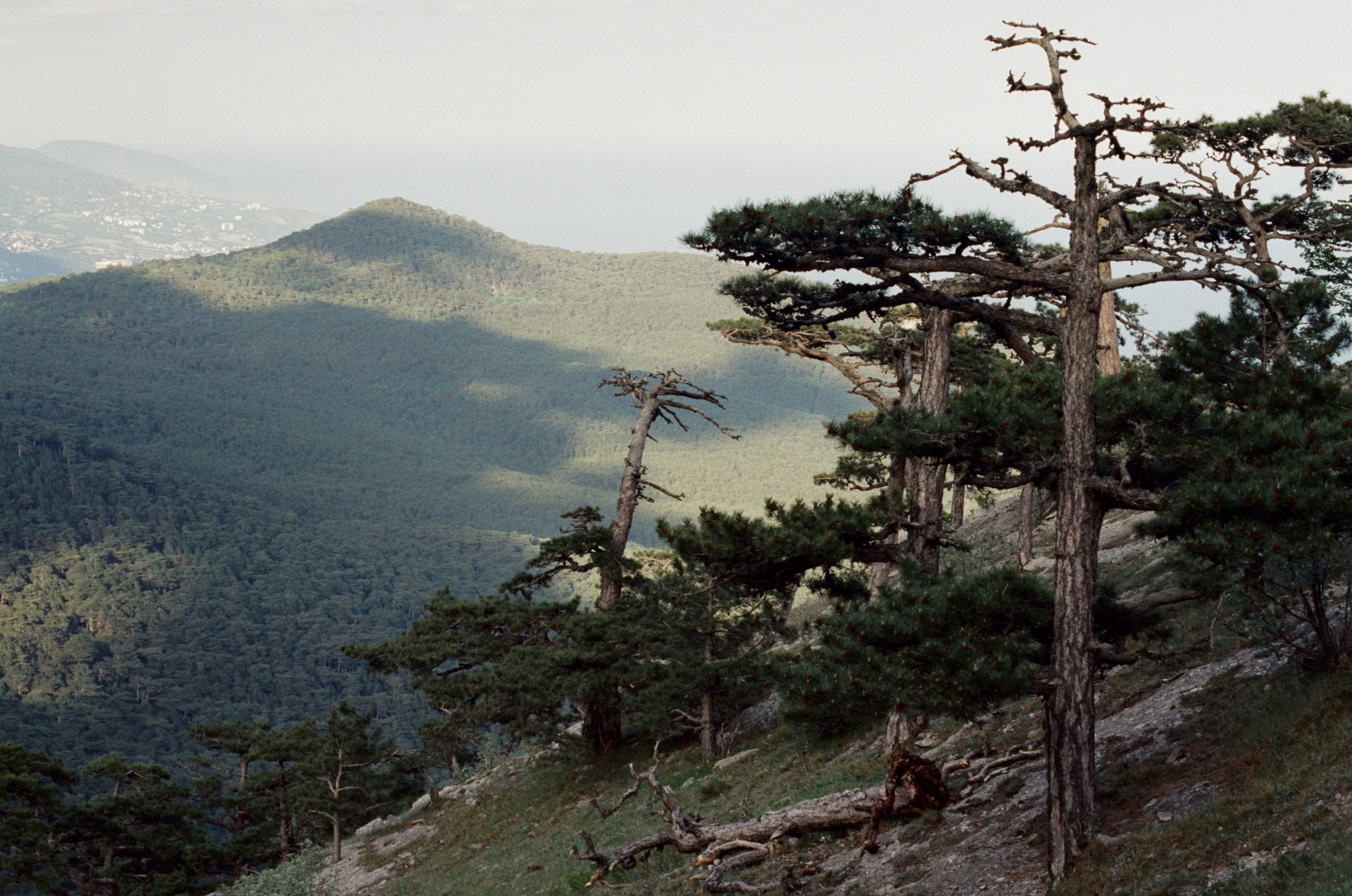 Silver strings // ukraine, crimea IX. EVER EXPOSED