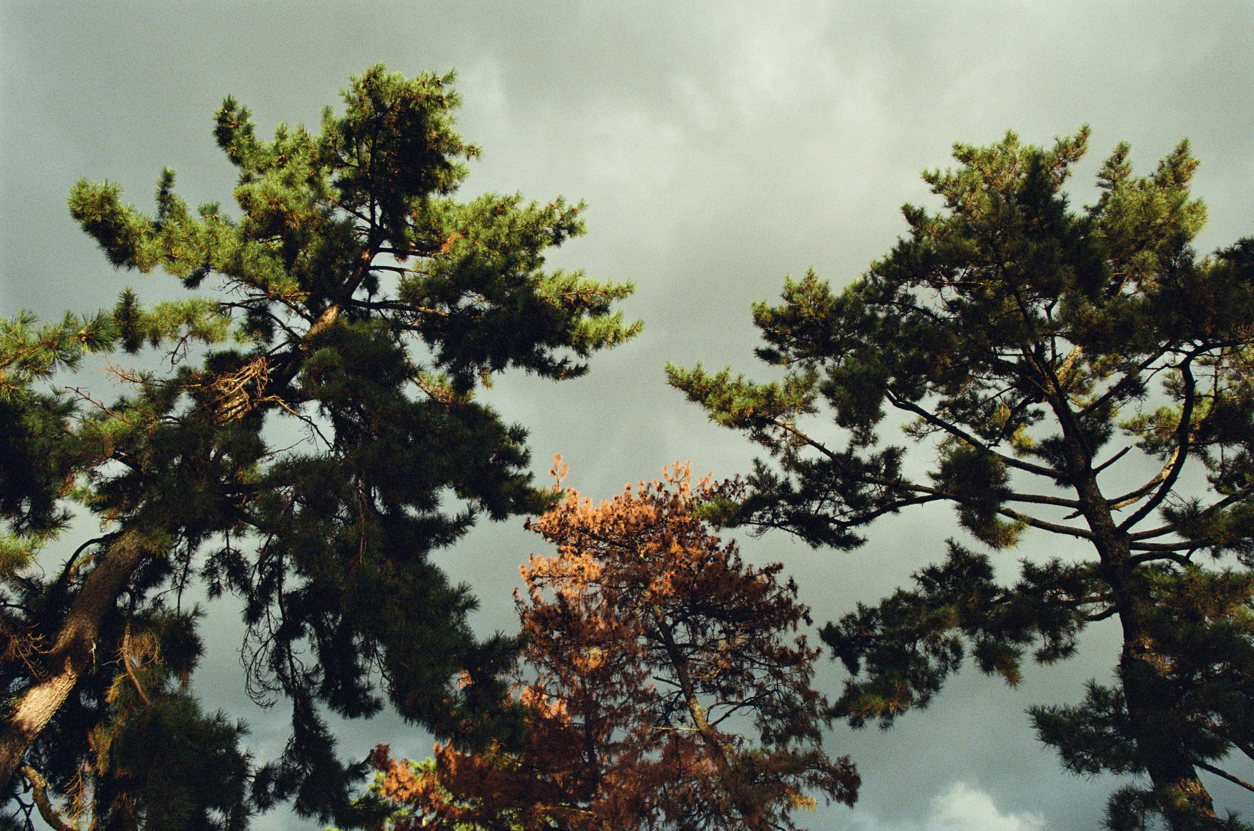 Out of noise // japan, kyoto IV. EVER EXPOSED