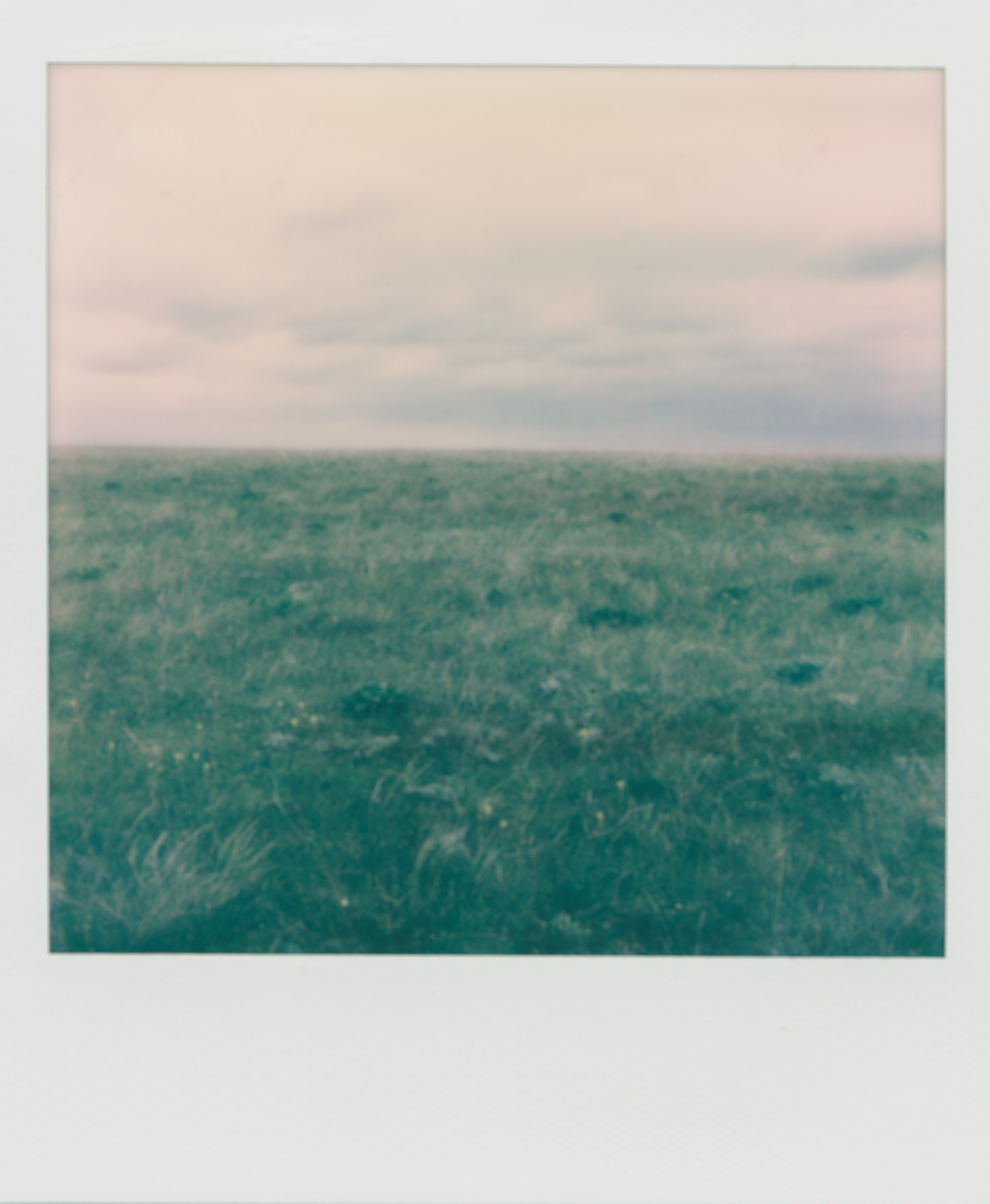 POLAROID. EVER EXPOSED