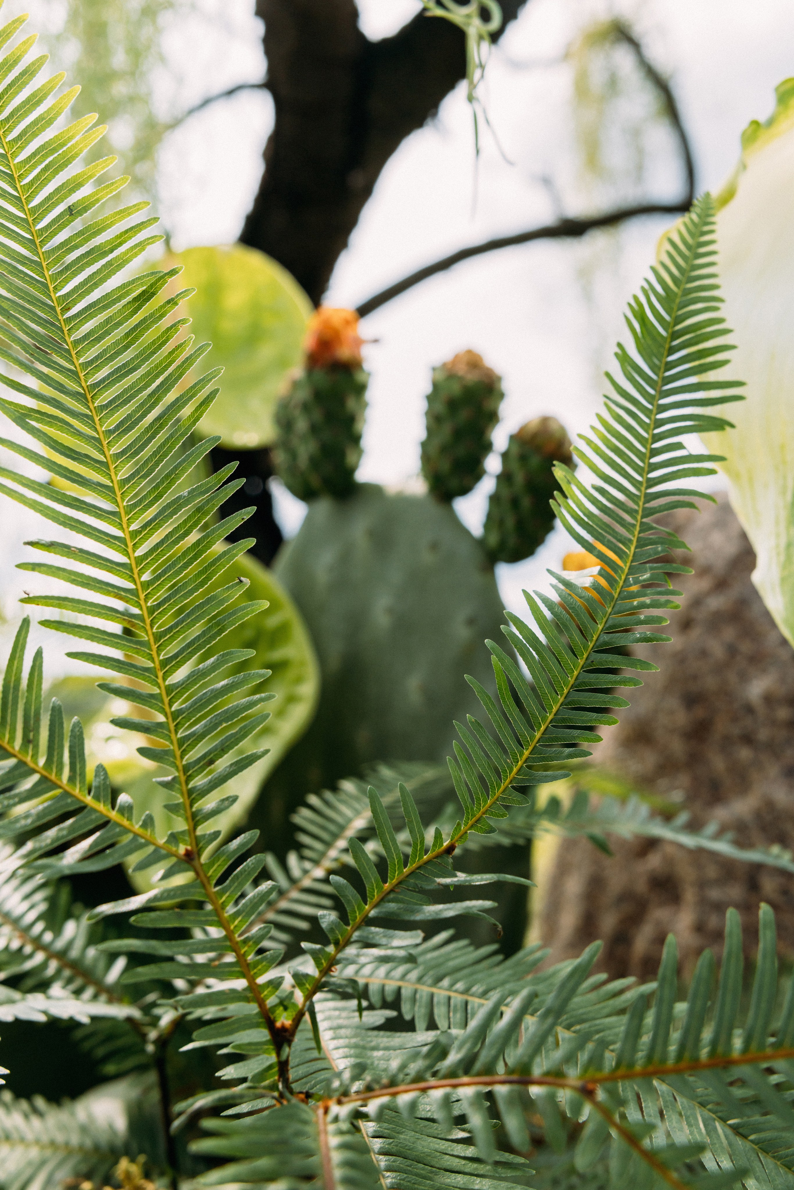 @avtors.agency. Свадебный и репортажный фотограф в Москве Владимир Сергеев | Naysaikolo