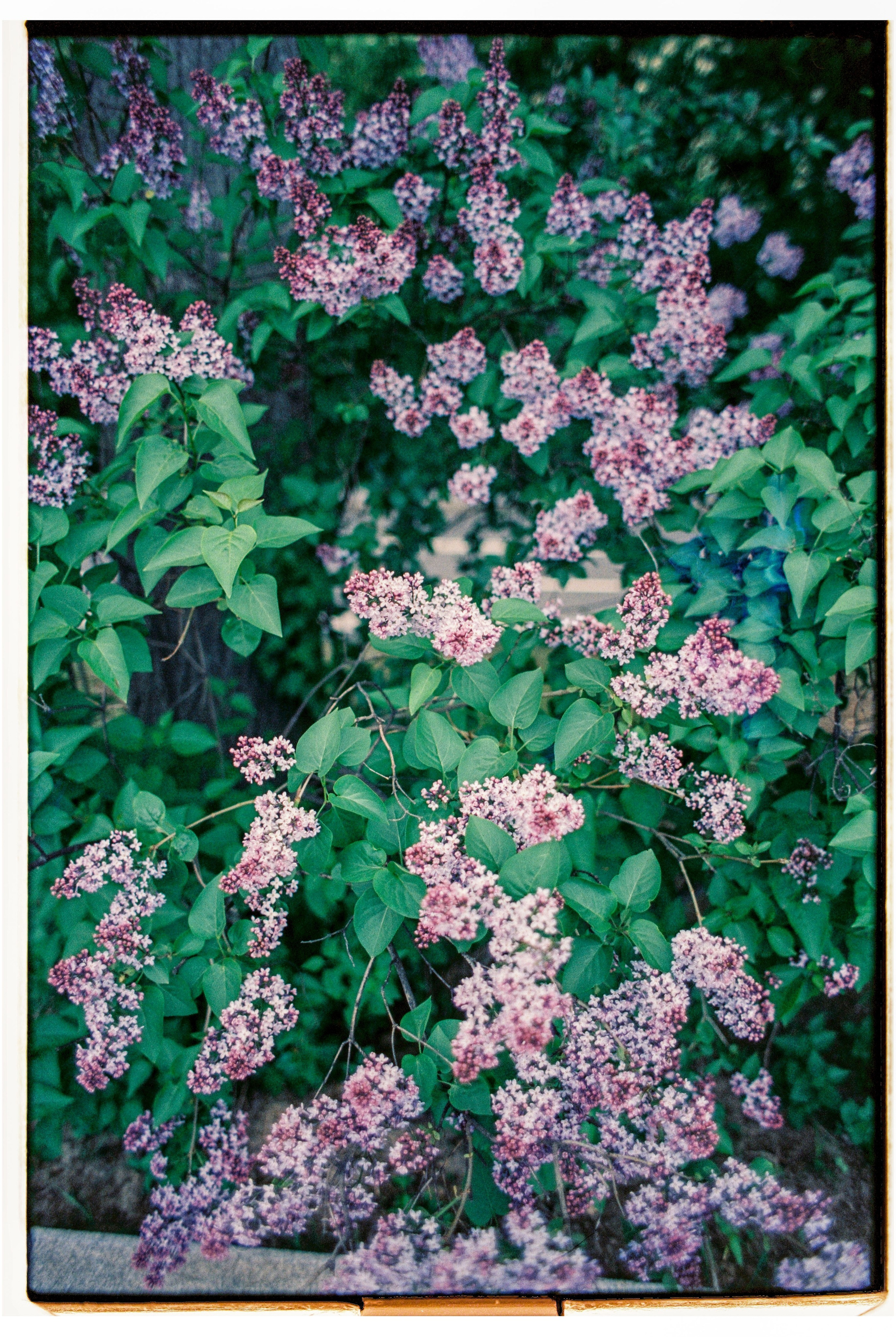 Great time with my family. Никита Демидов. Nikita Demidov