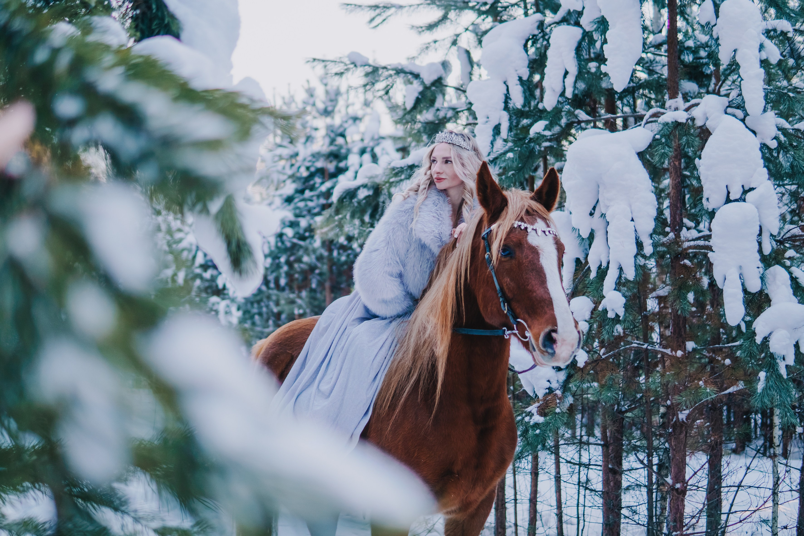 Life with horse. Saamill