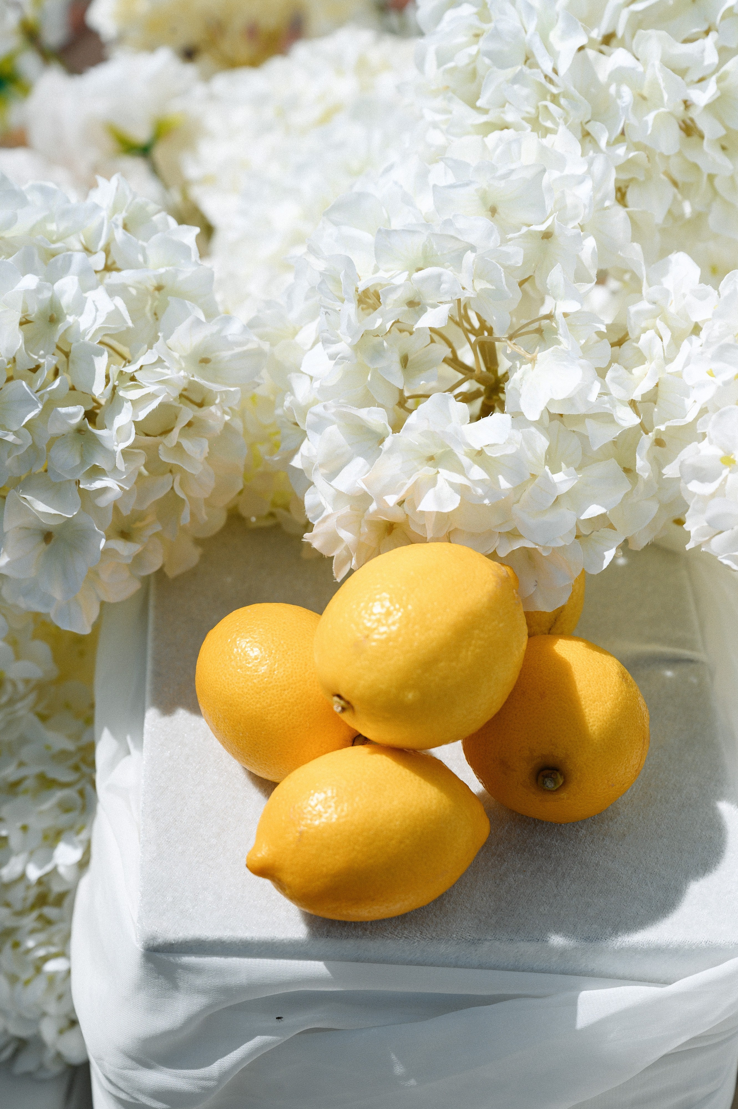 Илья & Алина