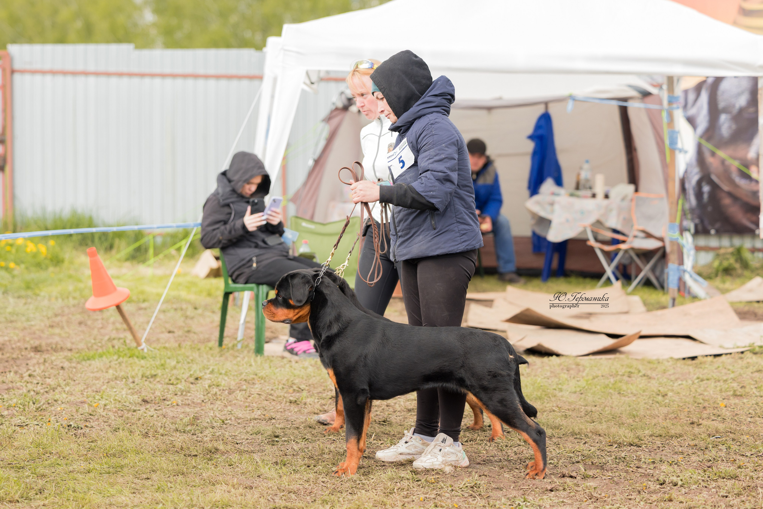 Нижний Новгород 2хмоно ротвейлеров 10-11.05.2025. Фотограф-анималист Юлия Германика