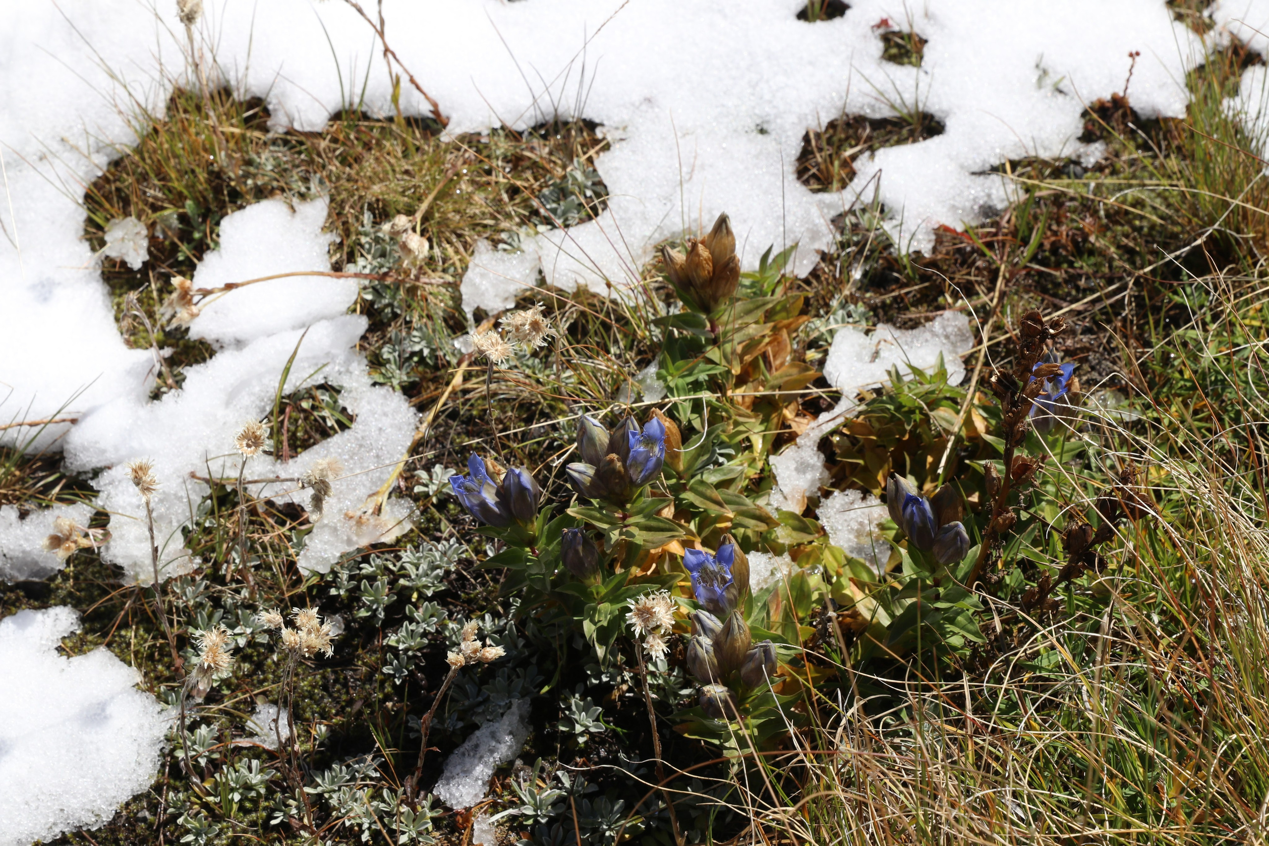 Приэльбрусье. Сентябрь 2023. Путешественник-фотограф из Санкт-Петербурга Татьяна Свистулина