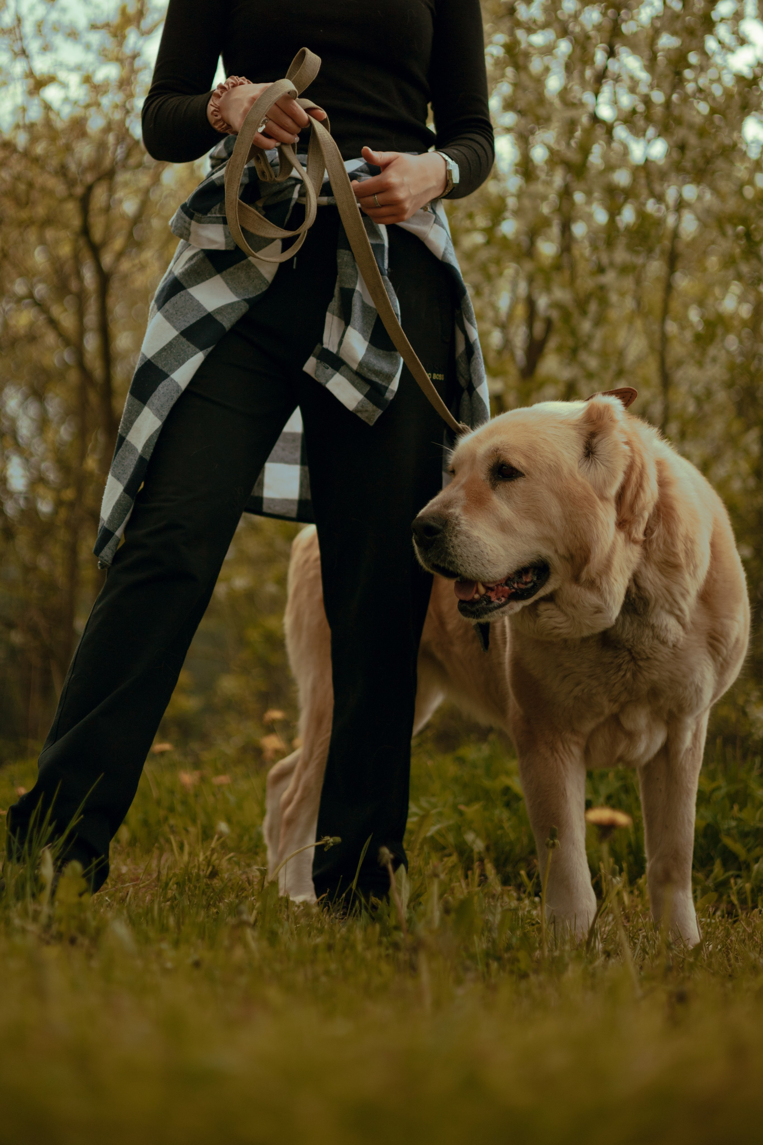 Юля и Ума. Фотограф — анималист •love-story•|Санкт-Петербург