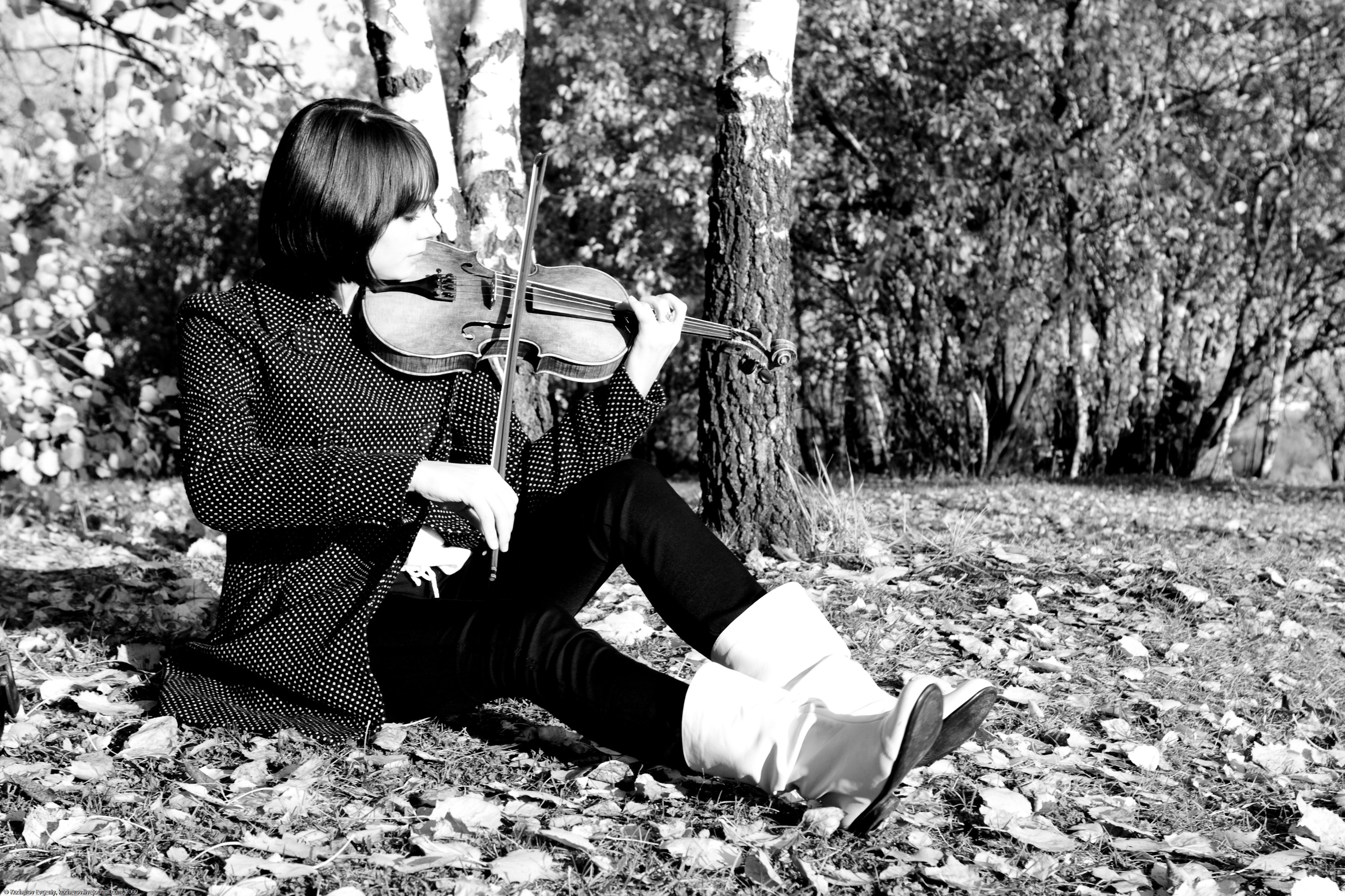 Настя со скрипкой. Кучеров Евгений. Фотограф