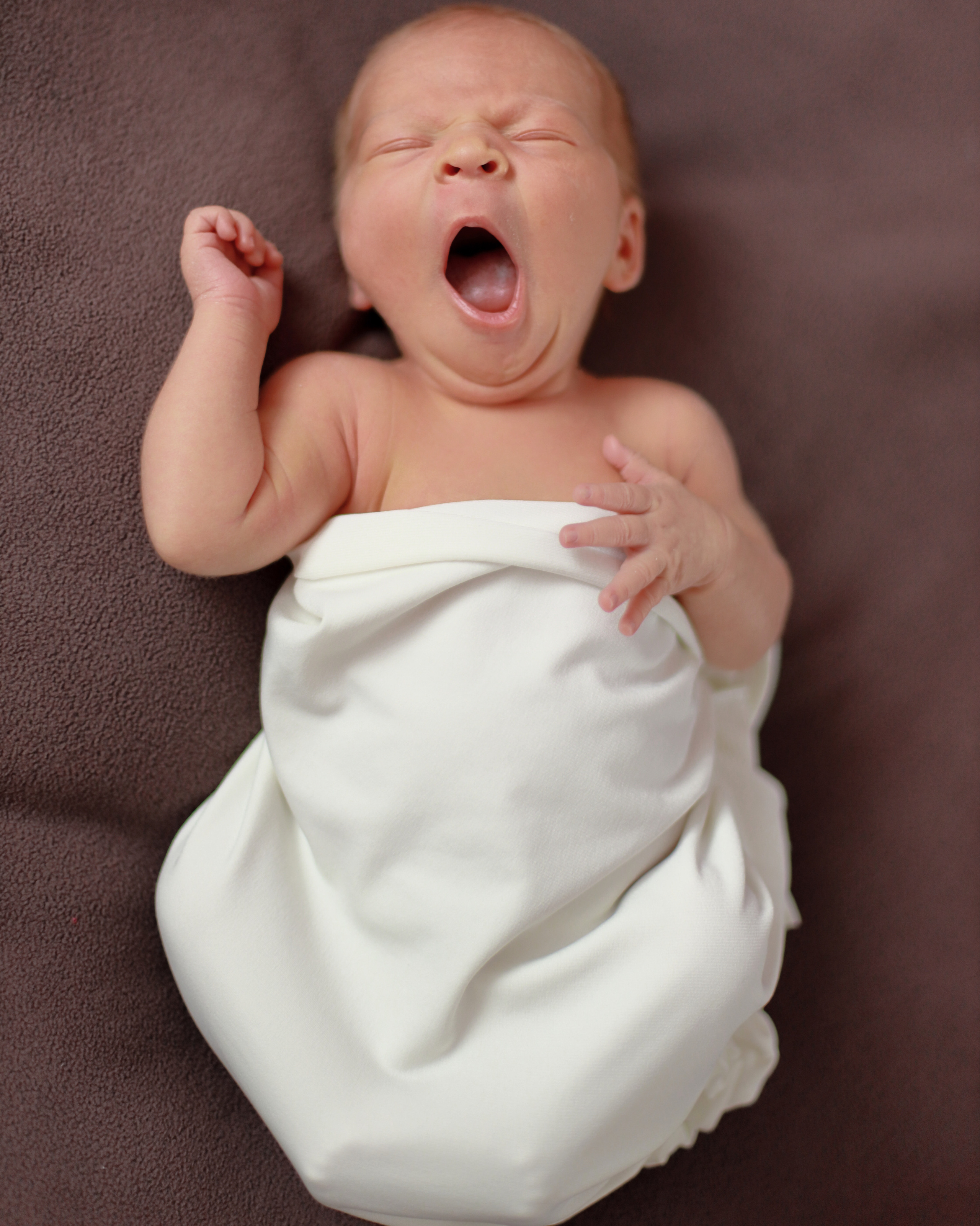 Съемка новорожденных Старый Оскол. Семейный фотограф и новорожденных в Старом Осколе Анна Старкова,