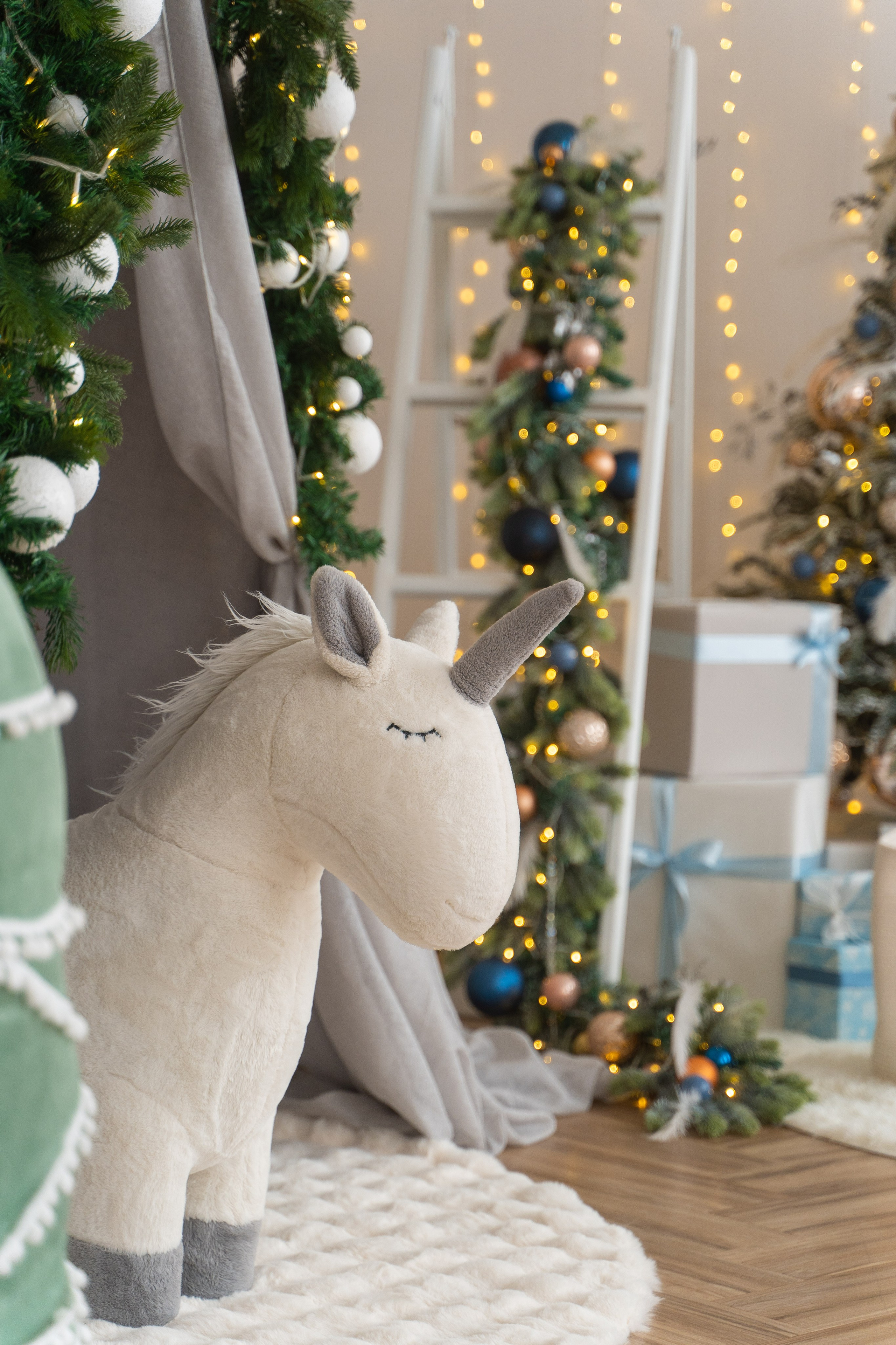 Зал Белый. Фотограф г. Хабаровск. Семейные и индивидуальные съёмки