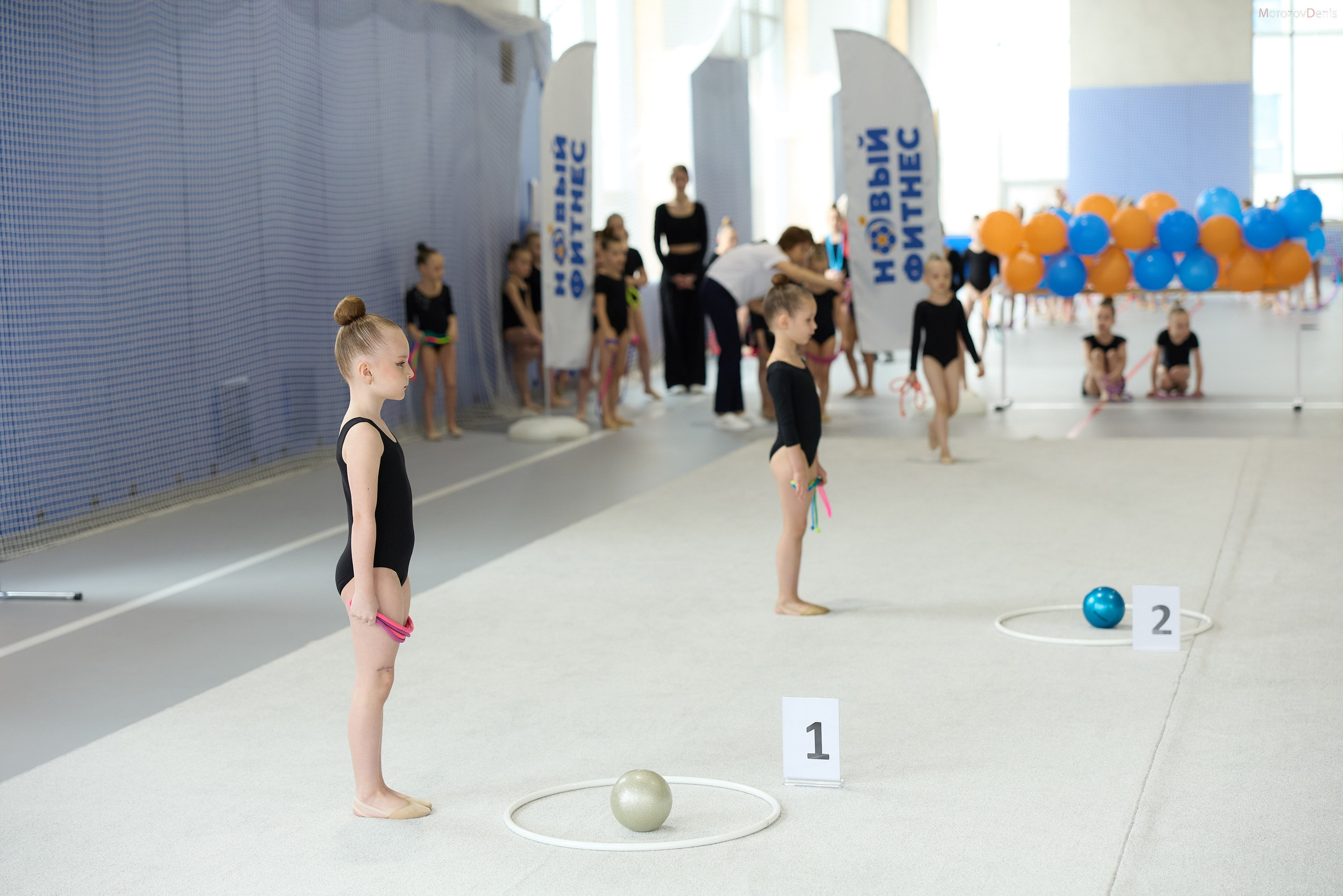 Художественная гимнастика