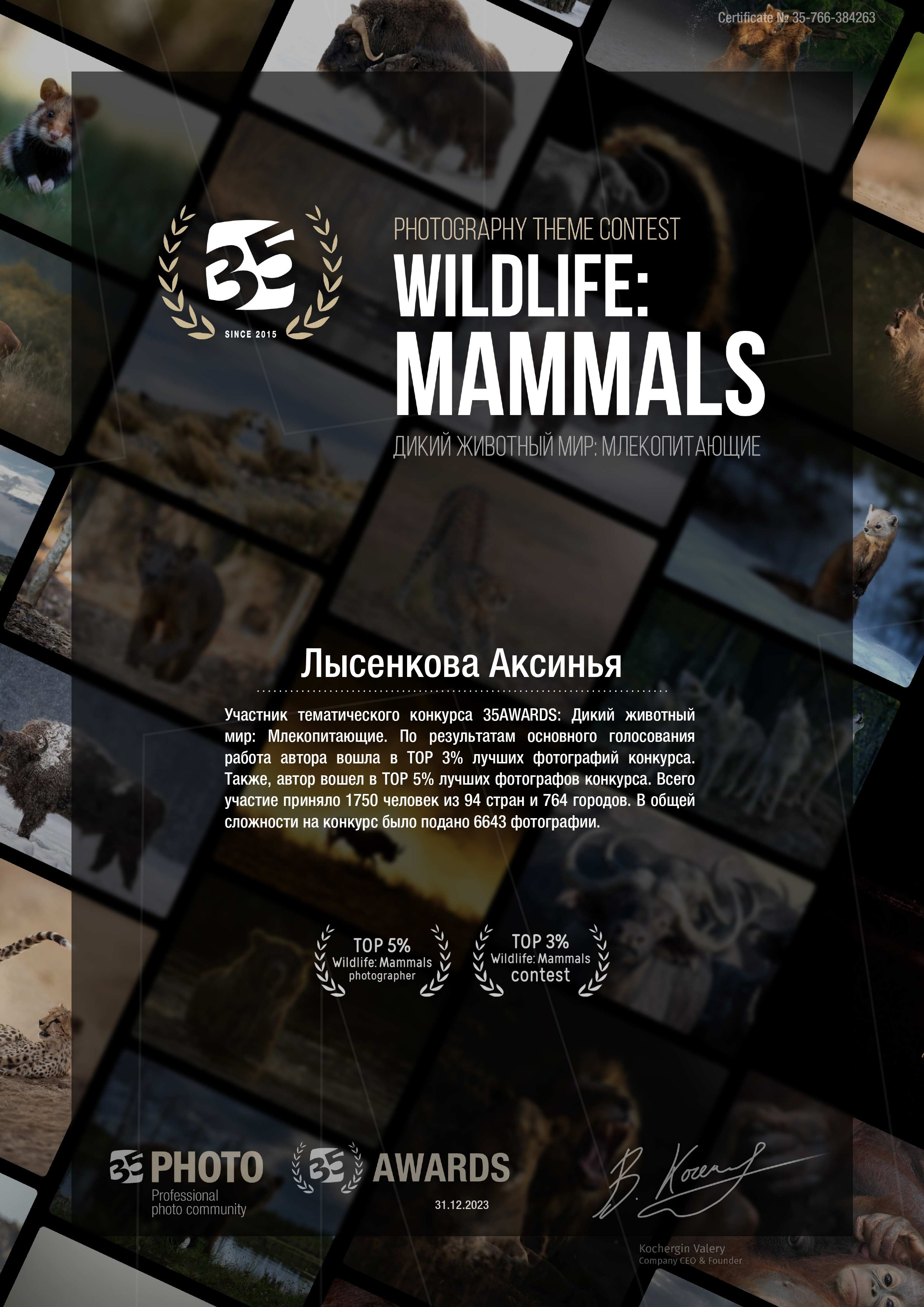 35 AWARDS. Детский, семейный фотограф в Ижевске и Москве Аксинья Лысенкова ADEN