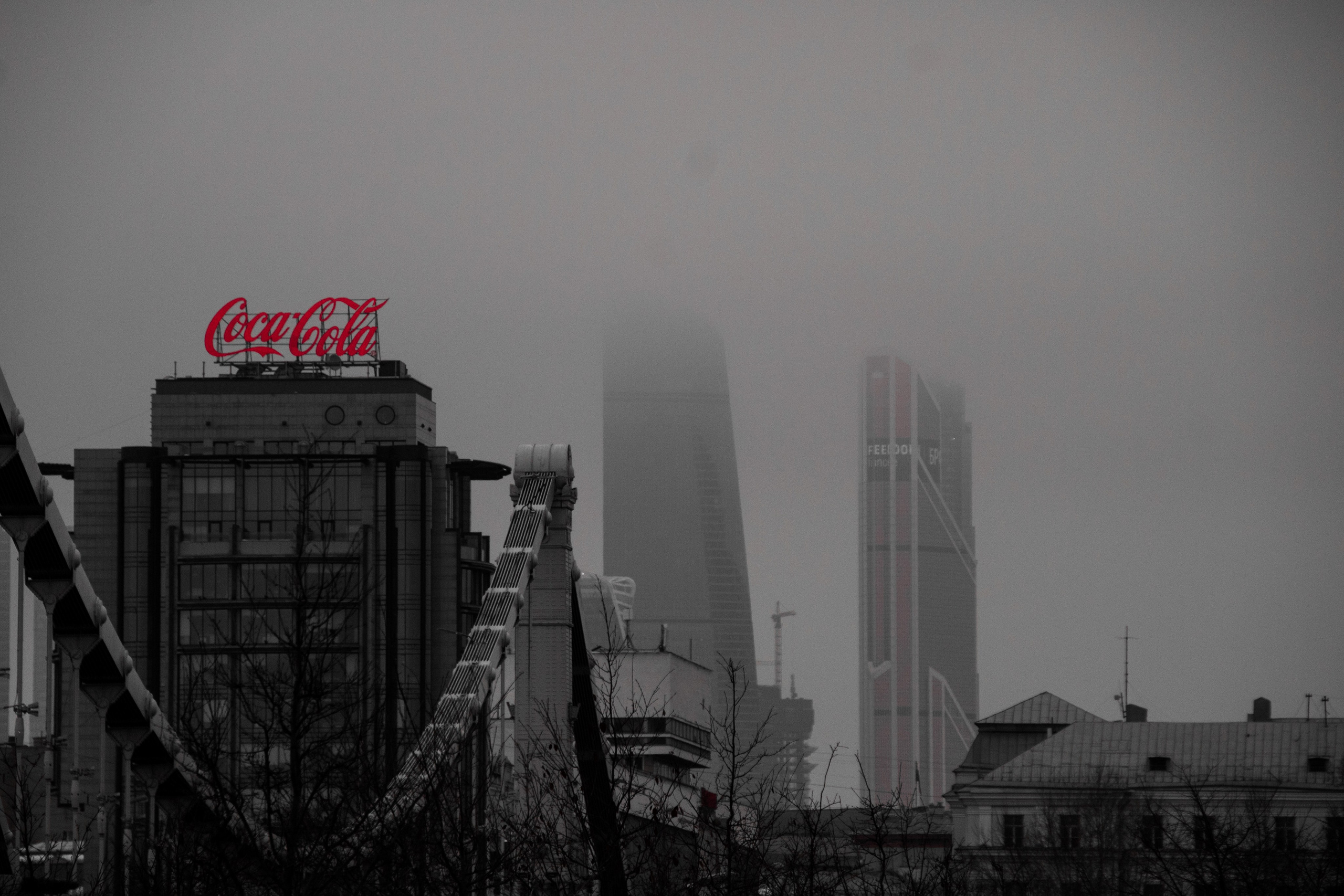 Моменты. Фотограф Сергей Епифанов