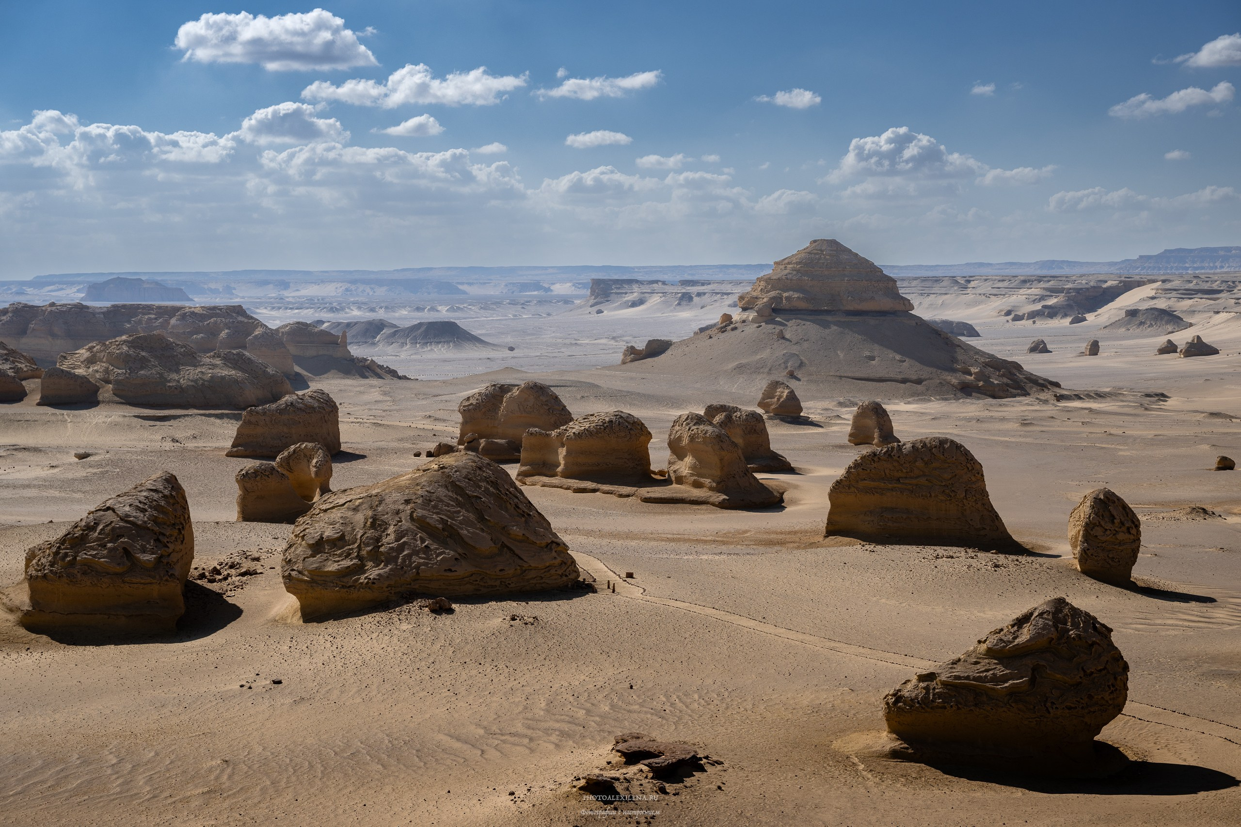 Снова в пустыню, за скелетами…. Авторские стильные фотокартины