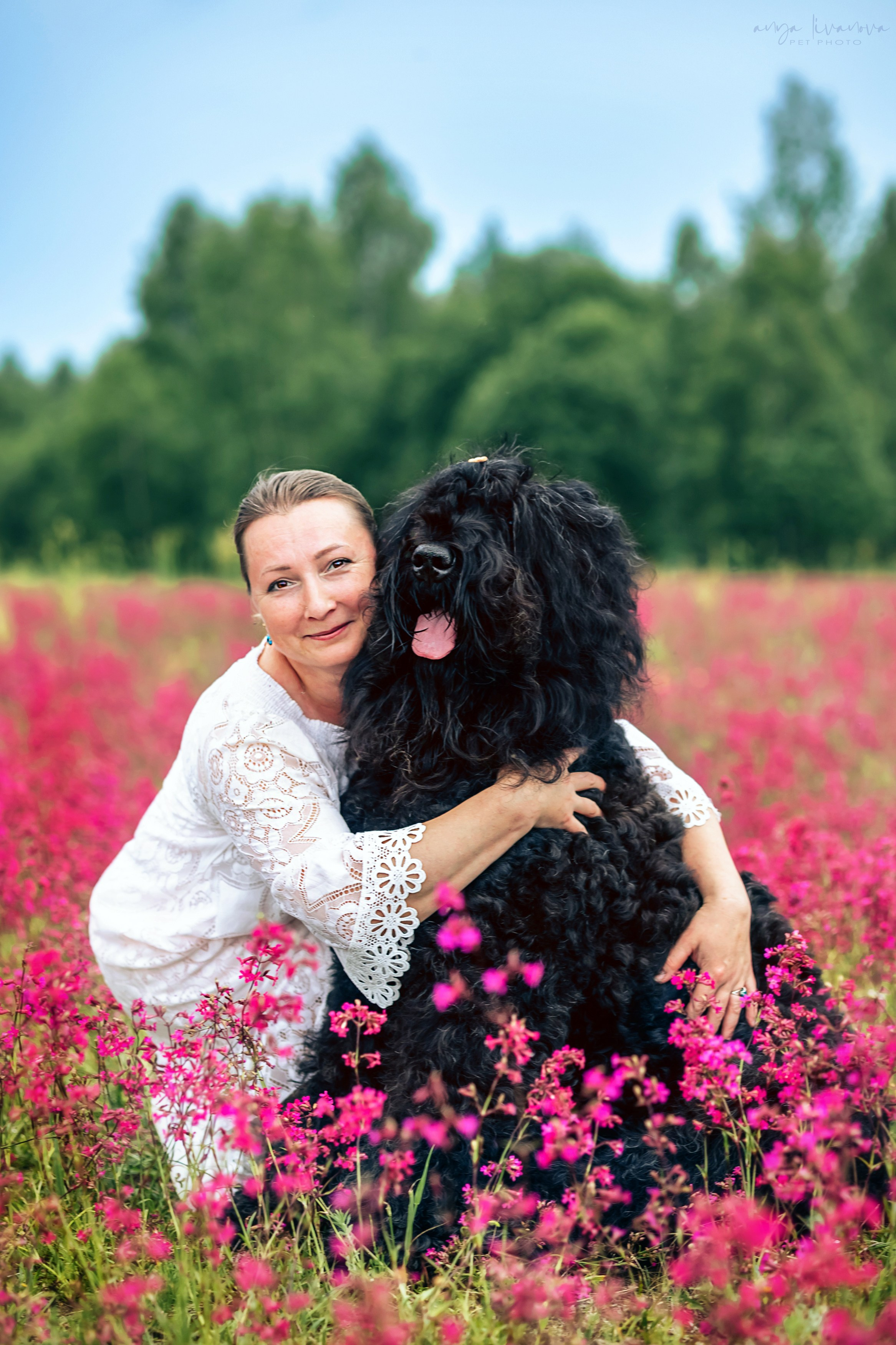Смолка клейкая. Фотограф анималист Аня Ливанова | Рыбинск
