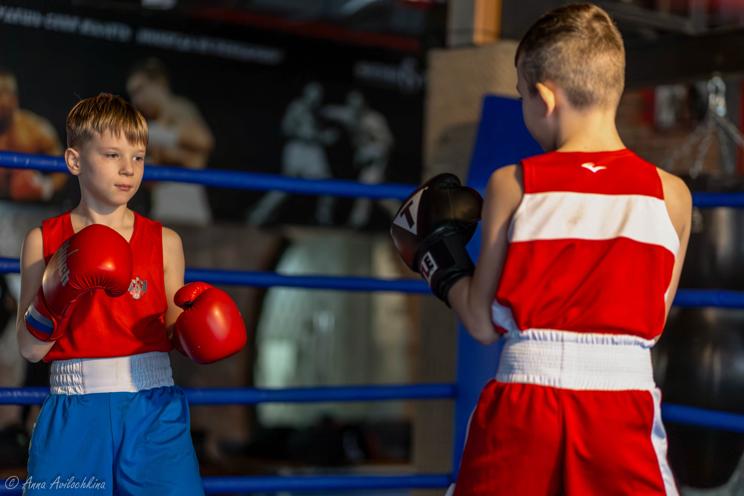 Альбомы контент-съёмок. Семейный и свадебный фотограф в Москве и Домодедово Анна Авилочкина