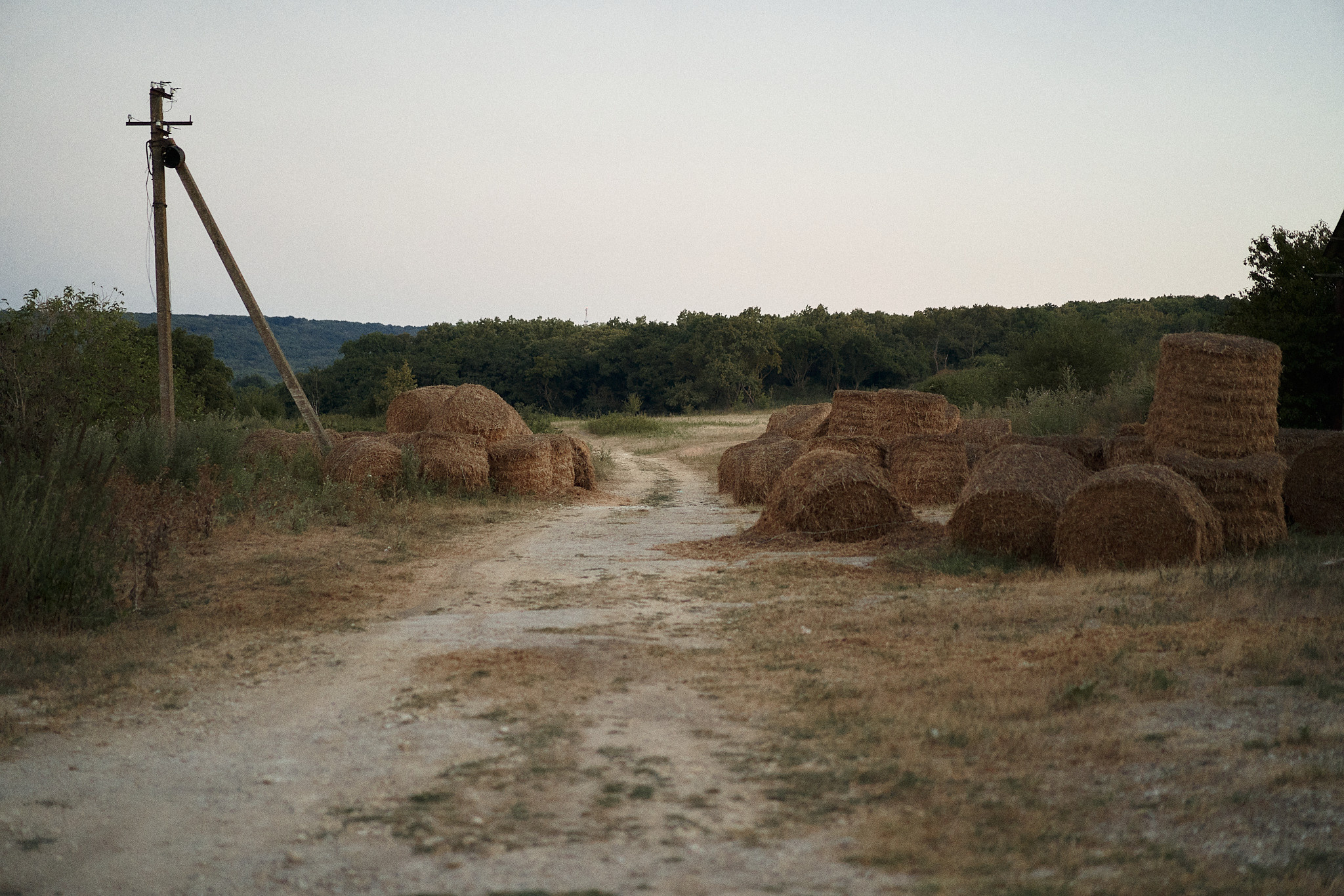 Аня: закат на ферме. Фотограф в Анапе Надежда Соловьёва