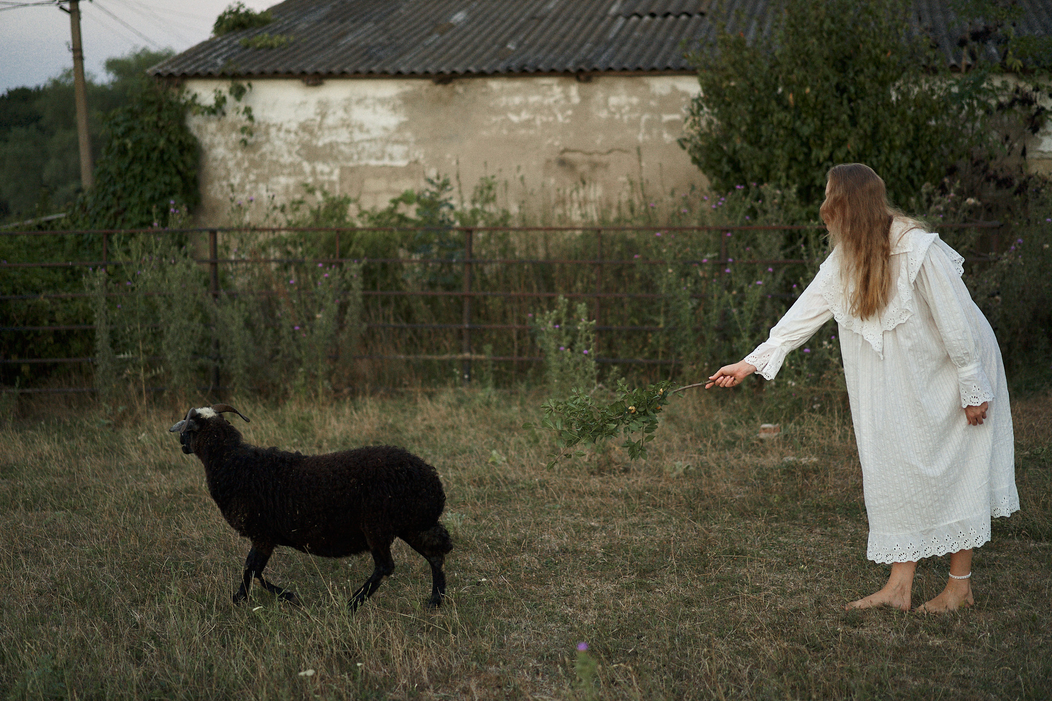 Аня: закат на ферме. Фотограф в Анапе Надежда Соловьёва