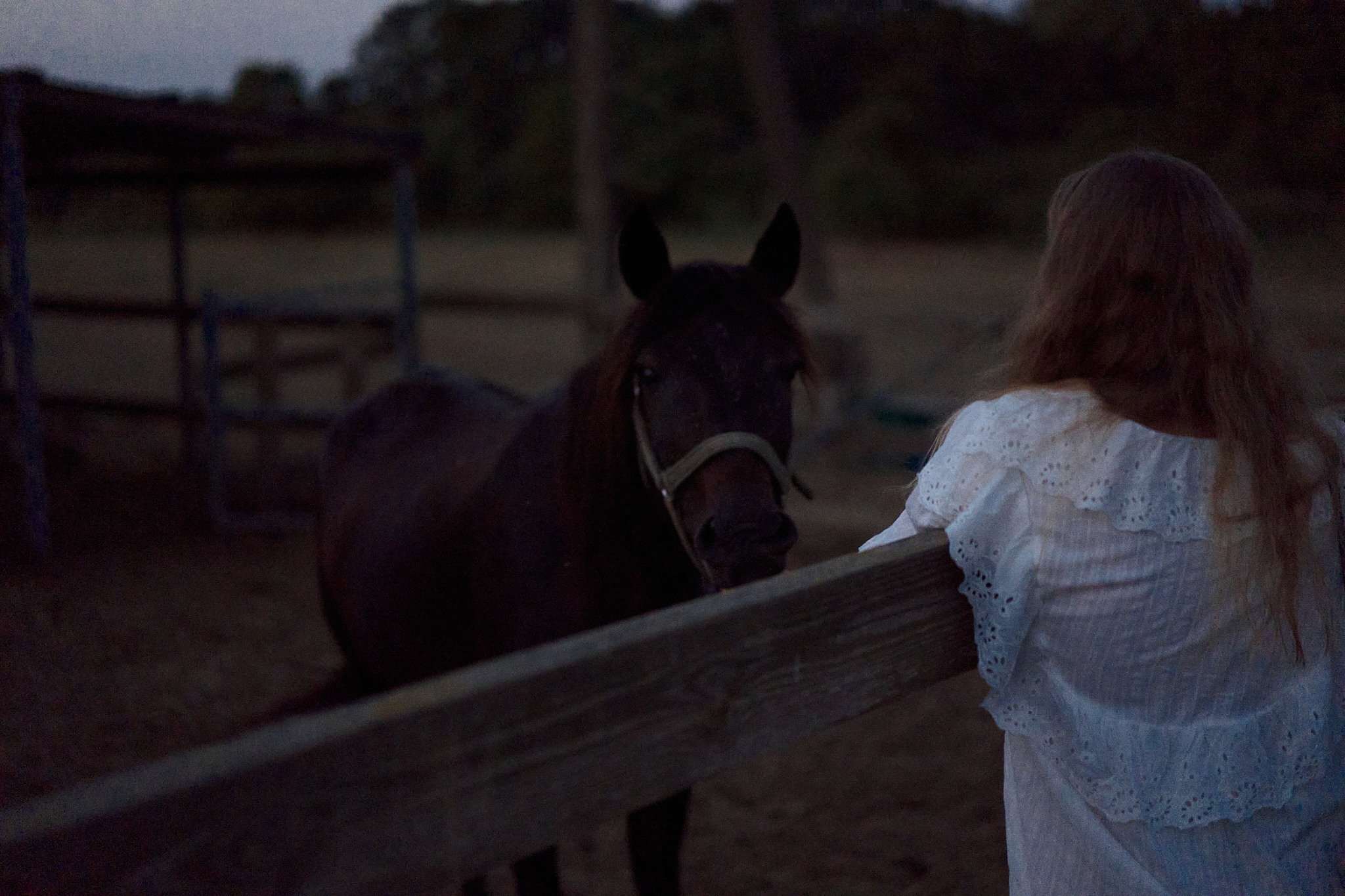 Аня: закат на ферме. Фотограф в Анапе Надежда Соловьёва