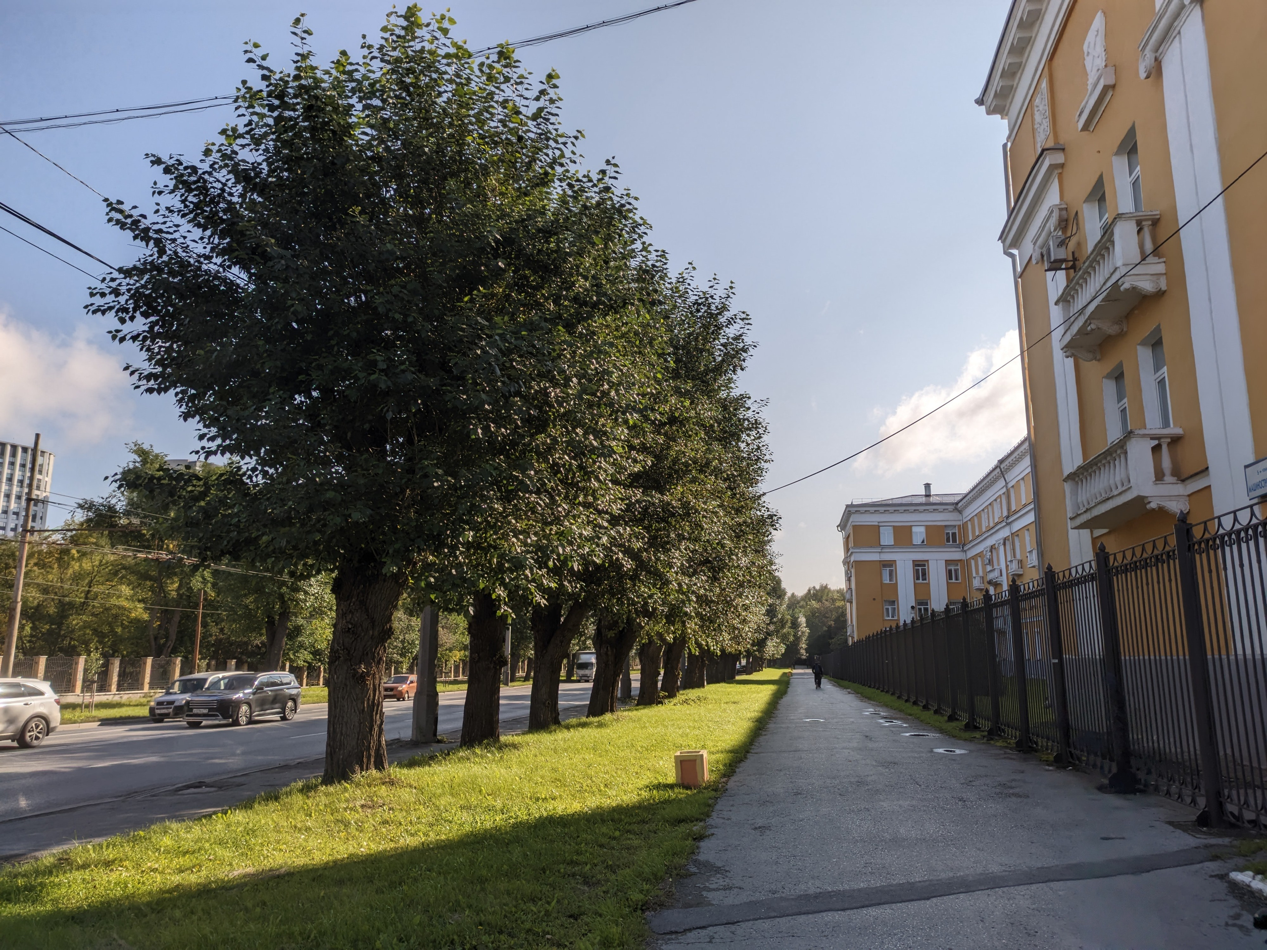 Солнечный. Фотограф в Санкт-Петербурге Березовский Даниил