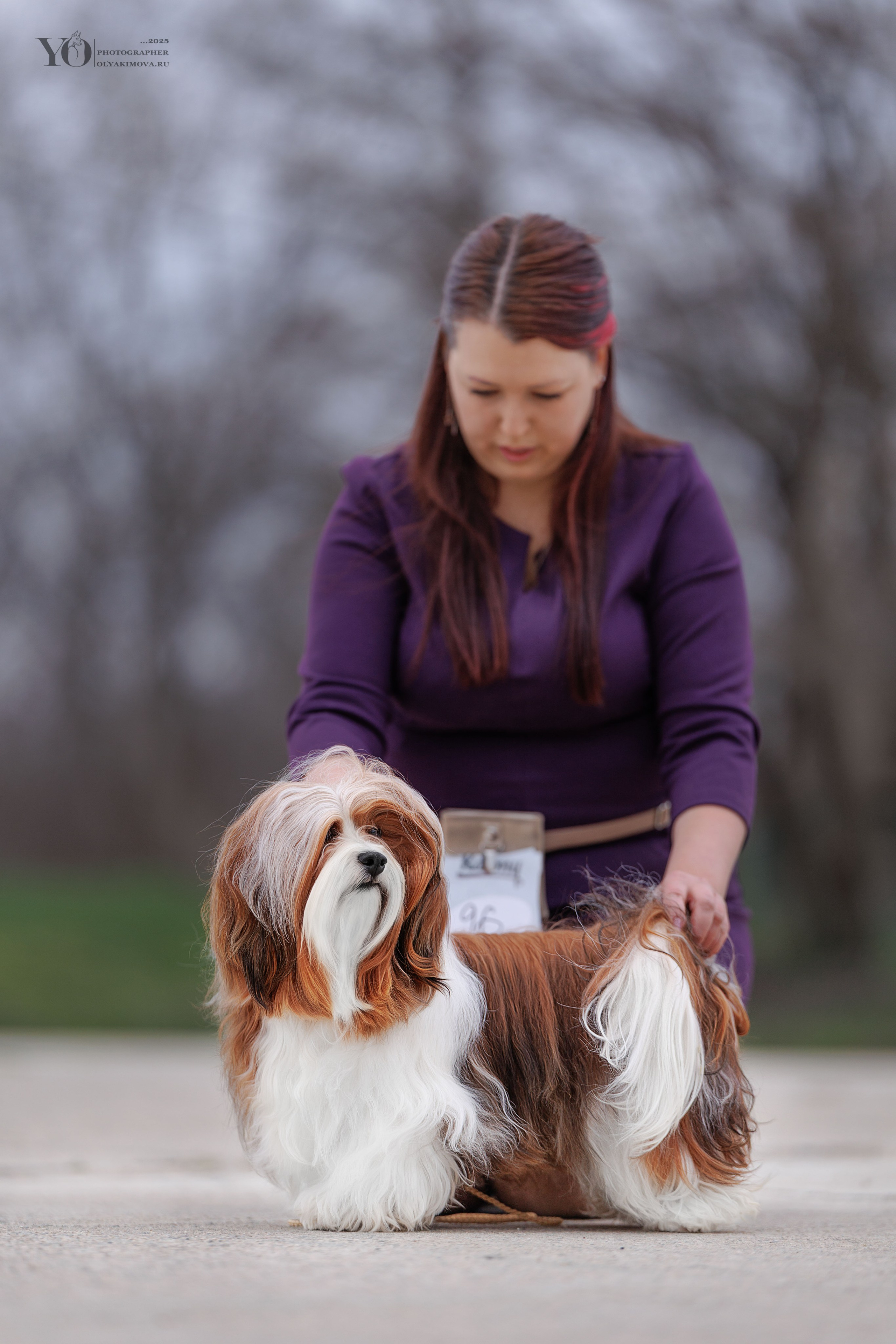 Экстерьер. Фотограф