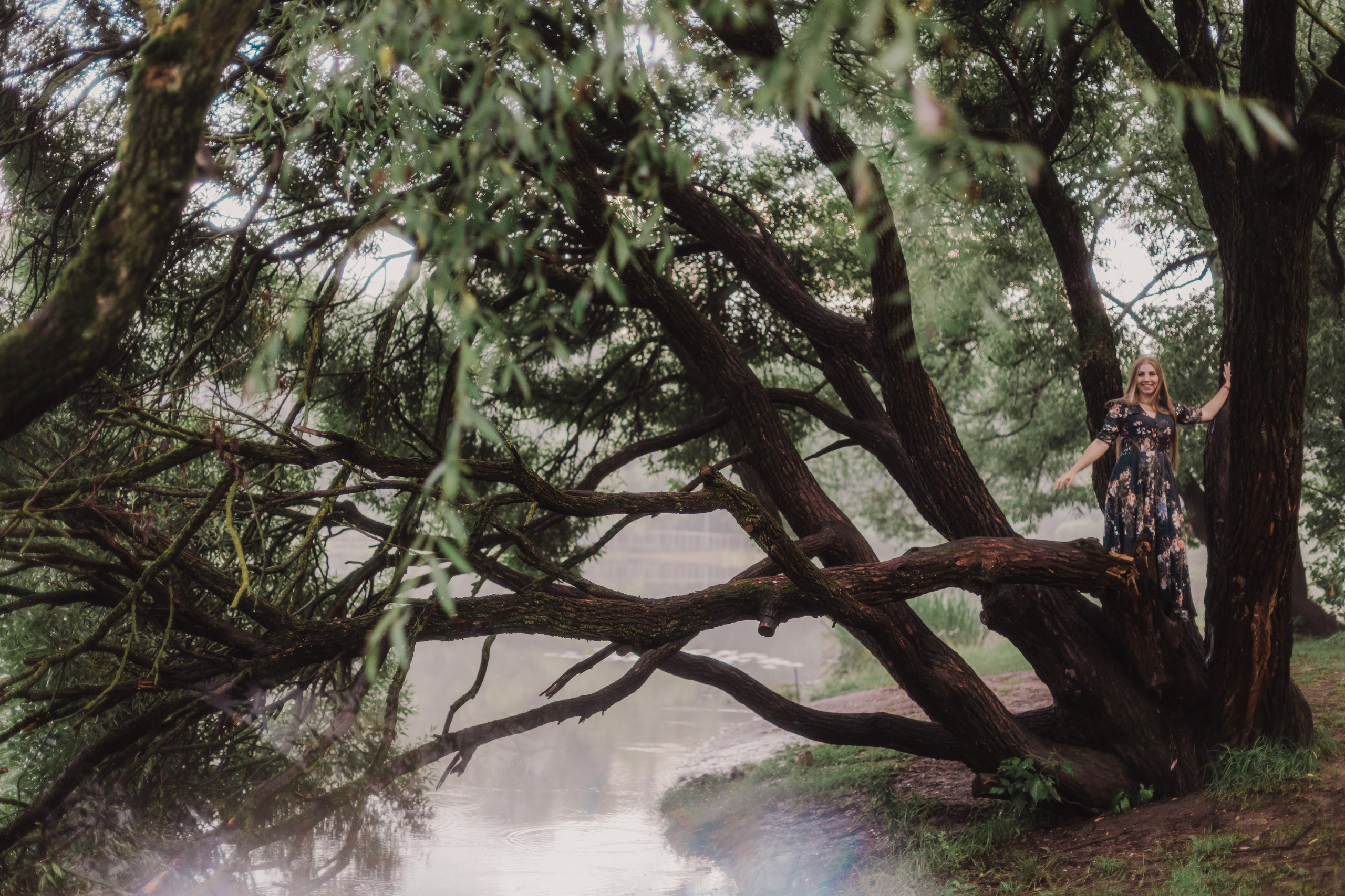 Магия леса. Мариам Багдасарян