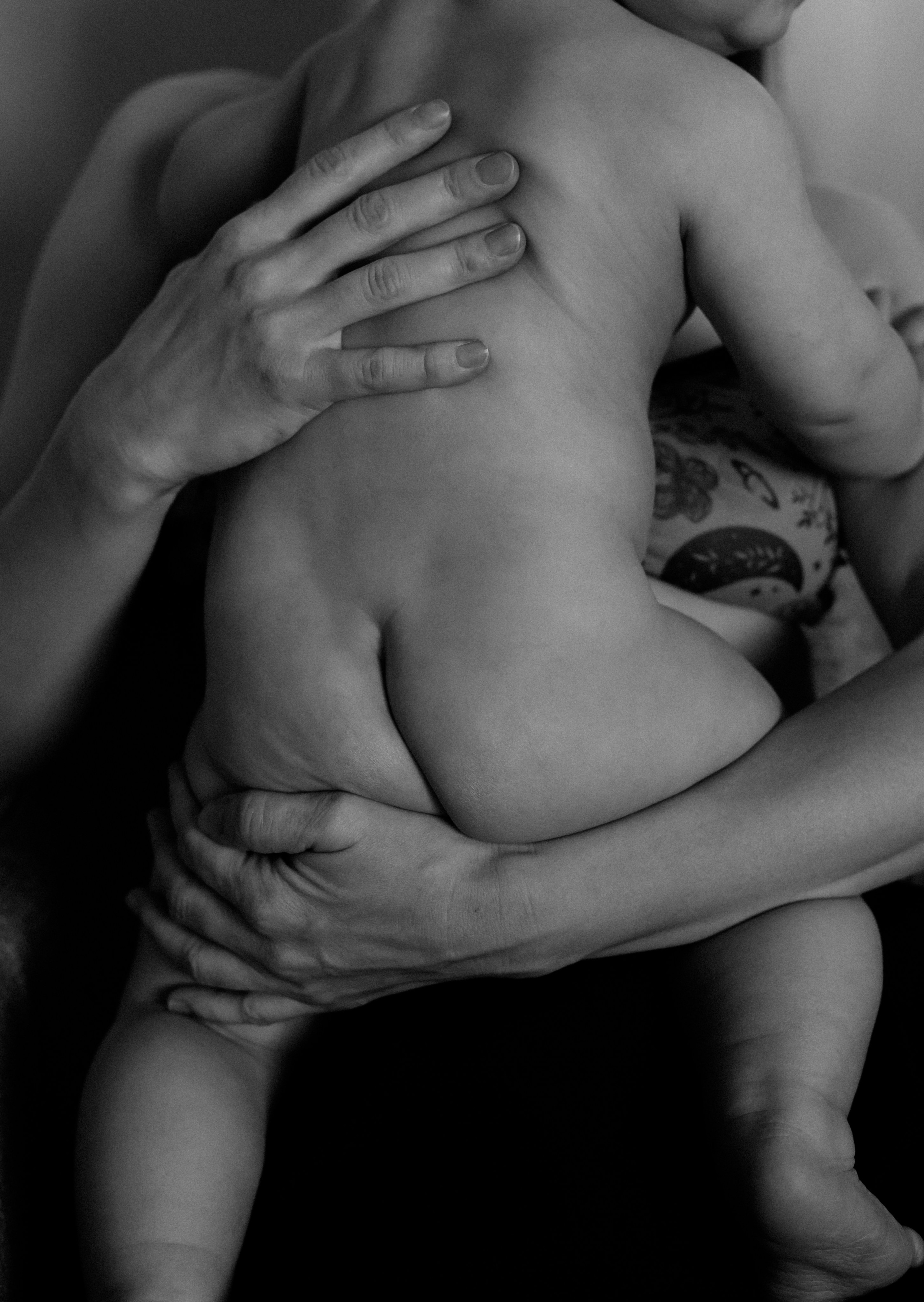 Домашняя история. Meryfotoidea