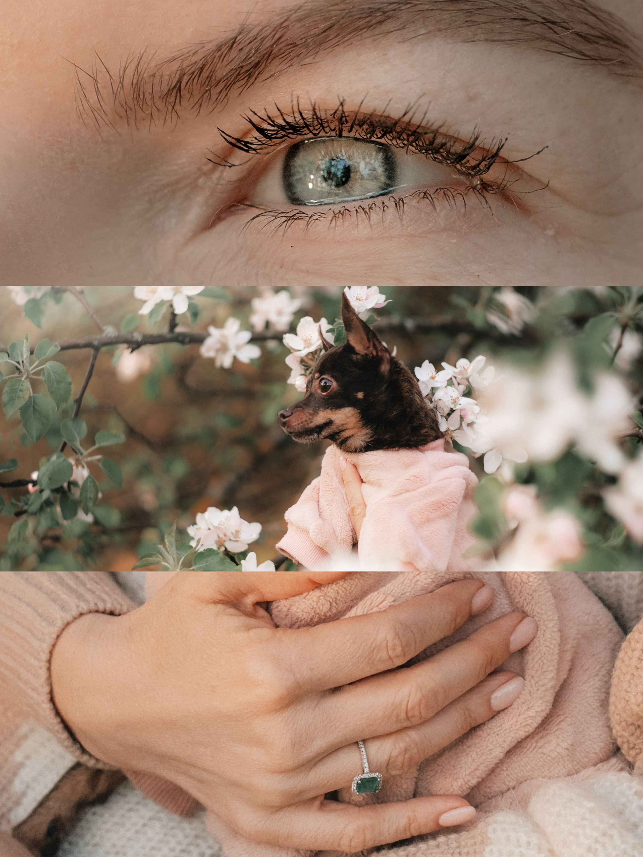 Марина и Мышка. Фотограф анималист в Москве и Санкт-Петербурге Свиридова Анна