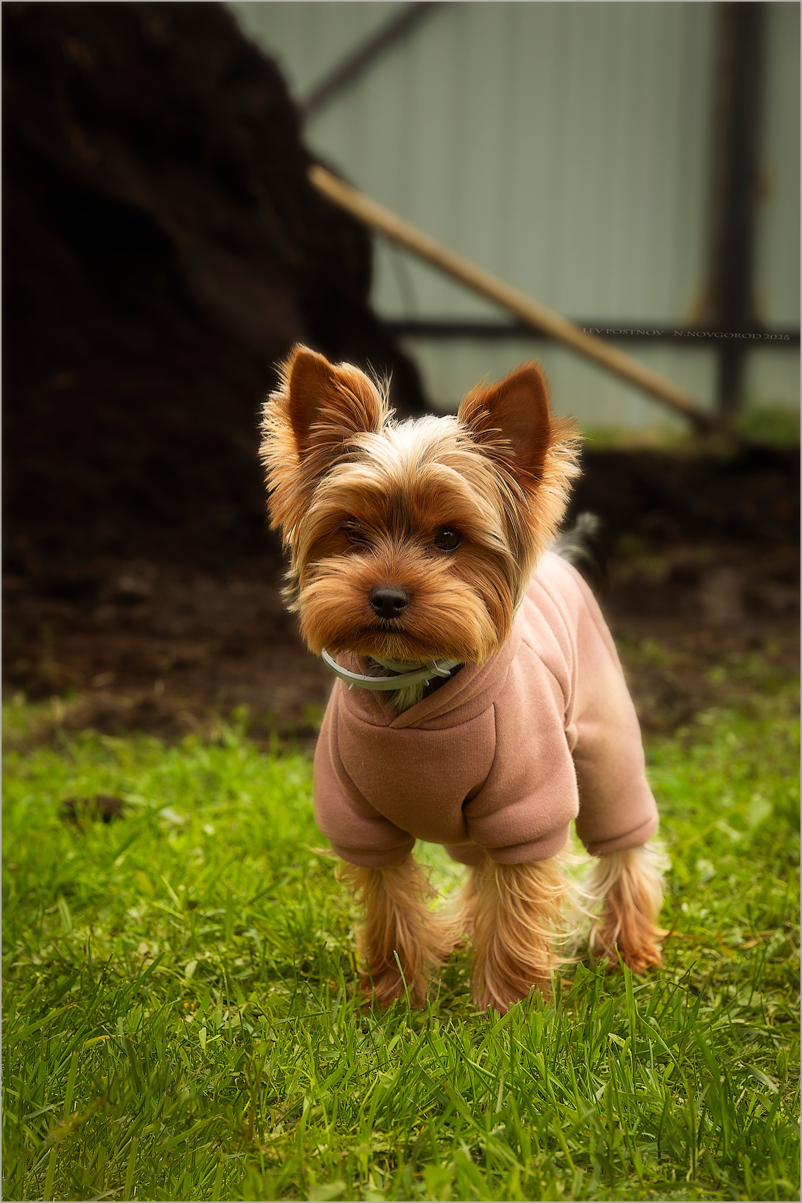 Тофик. Лев Постнов.Фотограф. Нижний Новгород