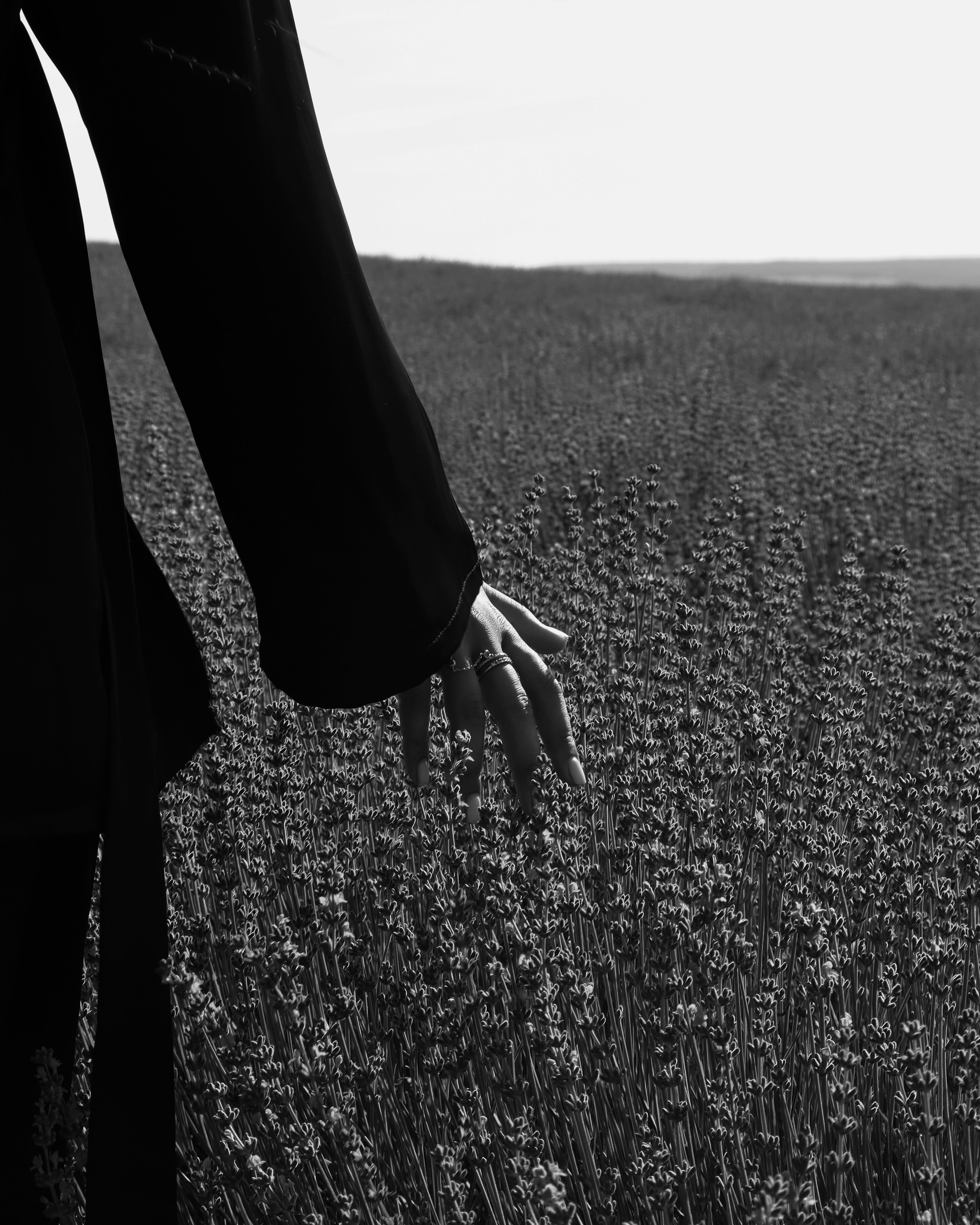 Юлия — lavender '06'24. Фотограф в Пятигорске и Севастополе — индивидуальные и семейные фотосессии | Si_Ola