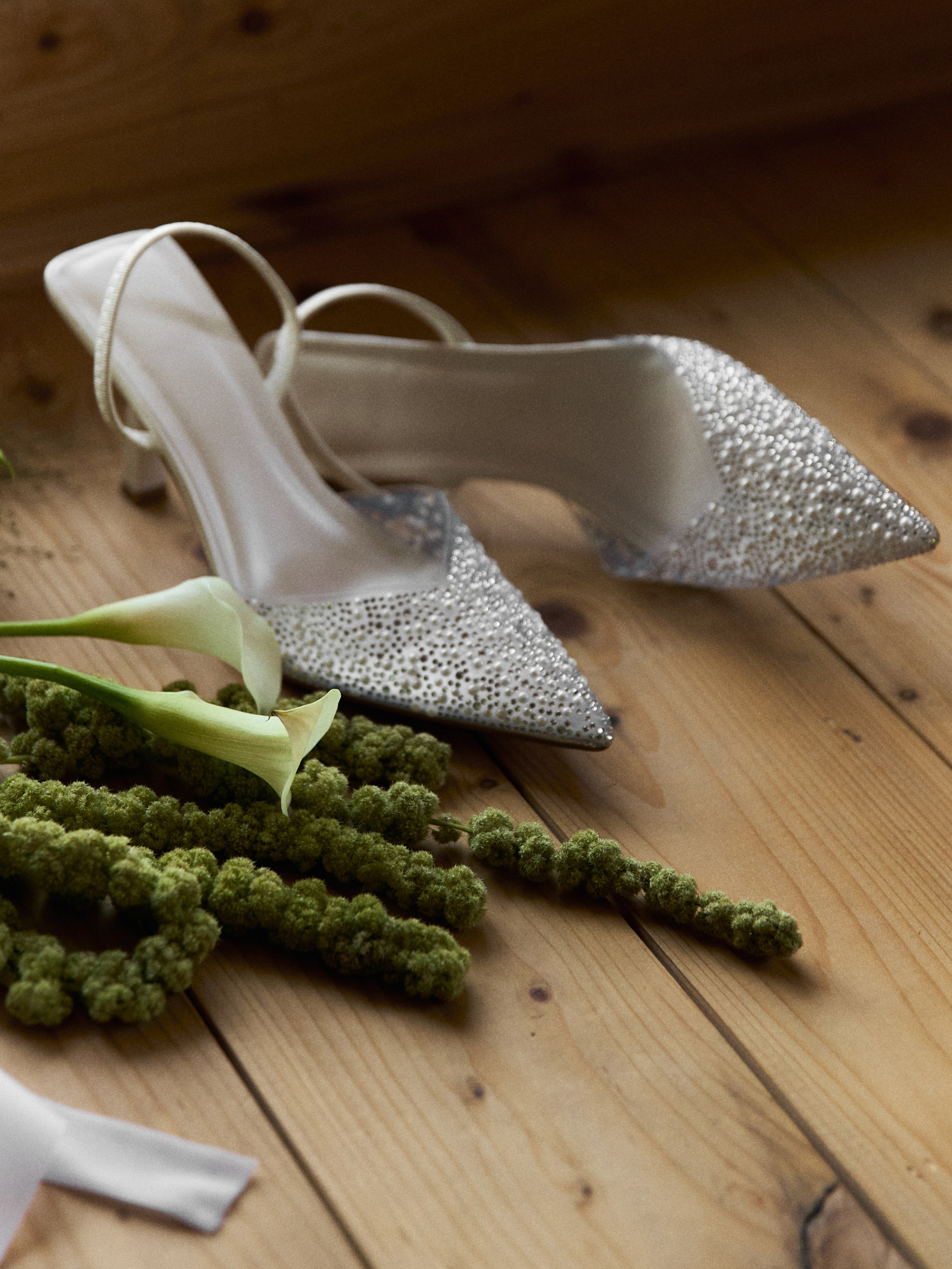 ЁЖ И МЫШ. Свадебный фотограф Анна Чащухина