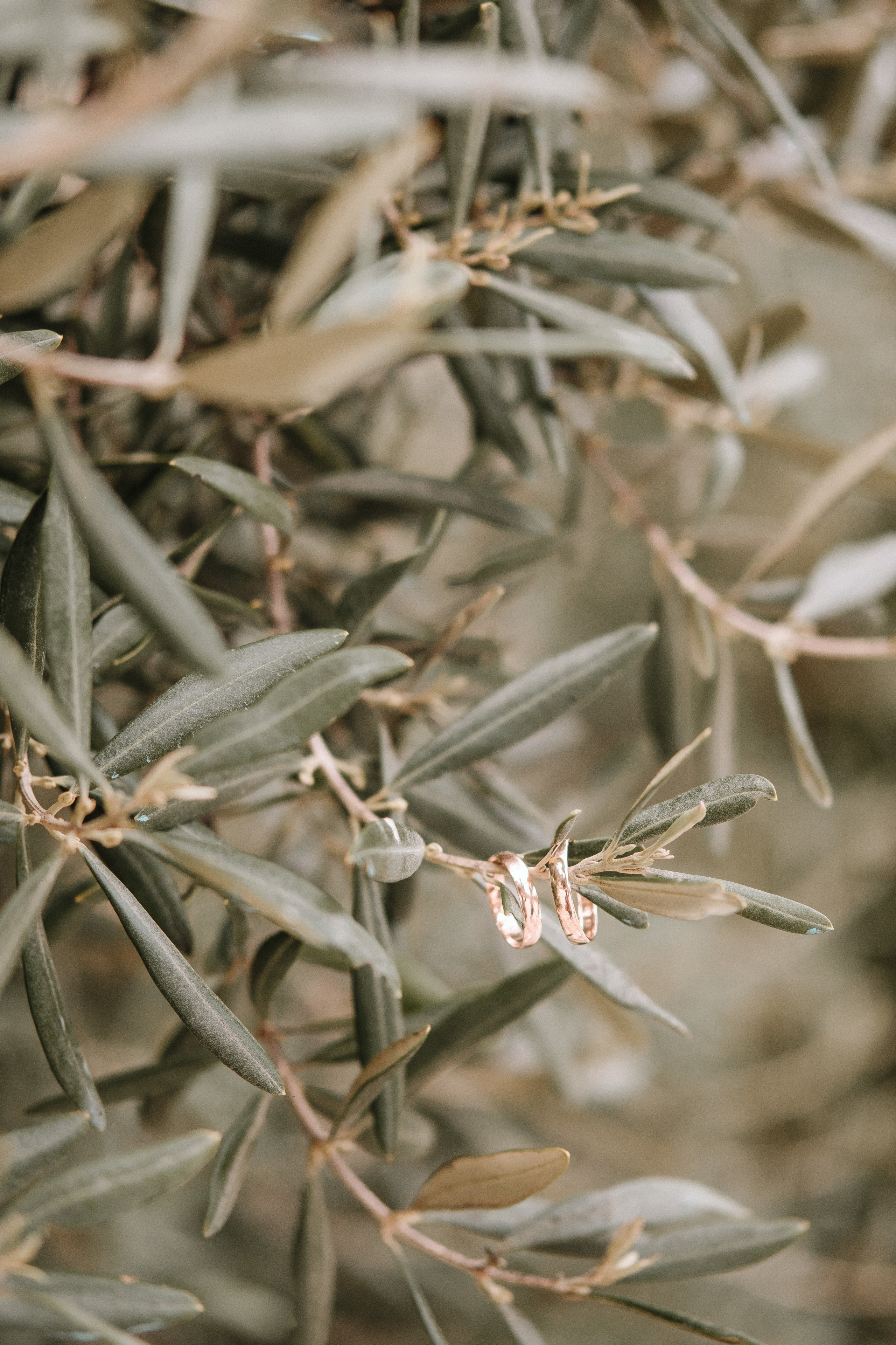 Cyprus. Hamida&Alyas. Photographer Cyprus