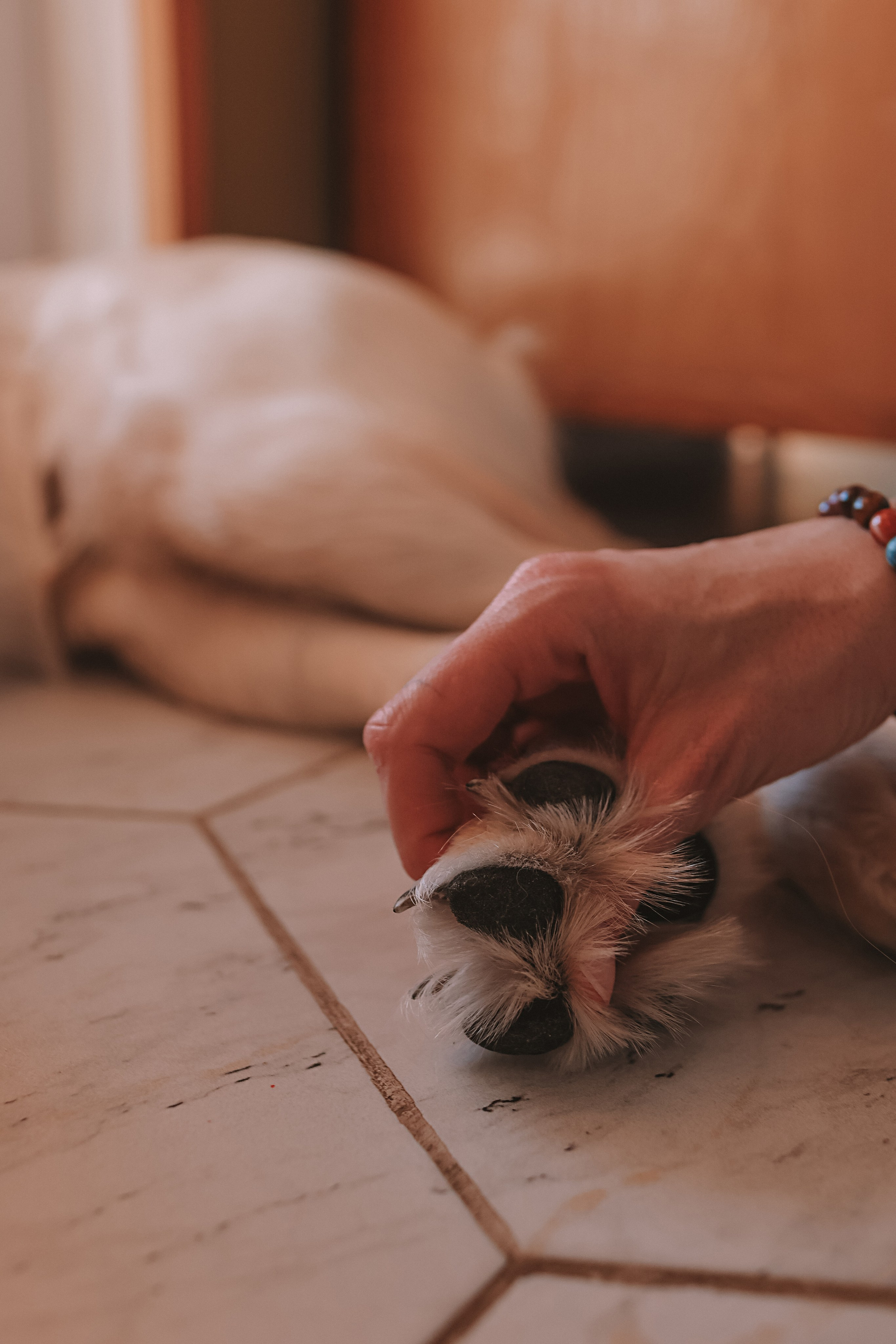 Наська (Чусовой). Семейный фотограф Тюмень, фотограф на роды Салмина Мария