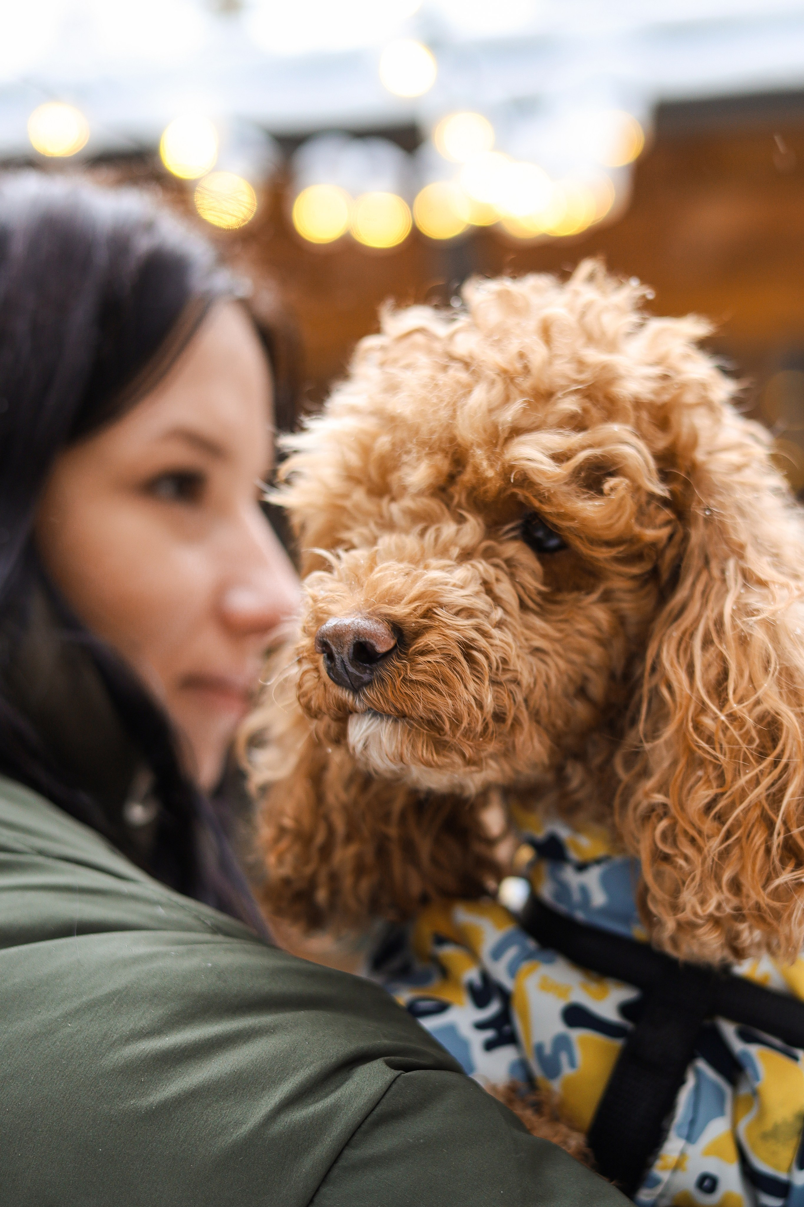 Муд и Леся. Фотограф-анималист Ксения Шевцова|Москва