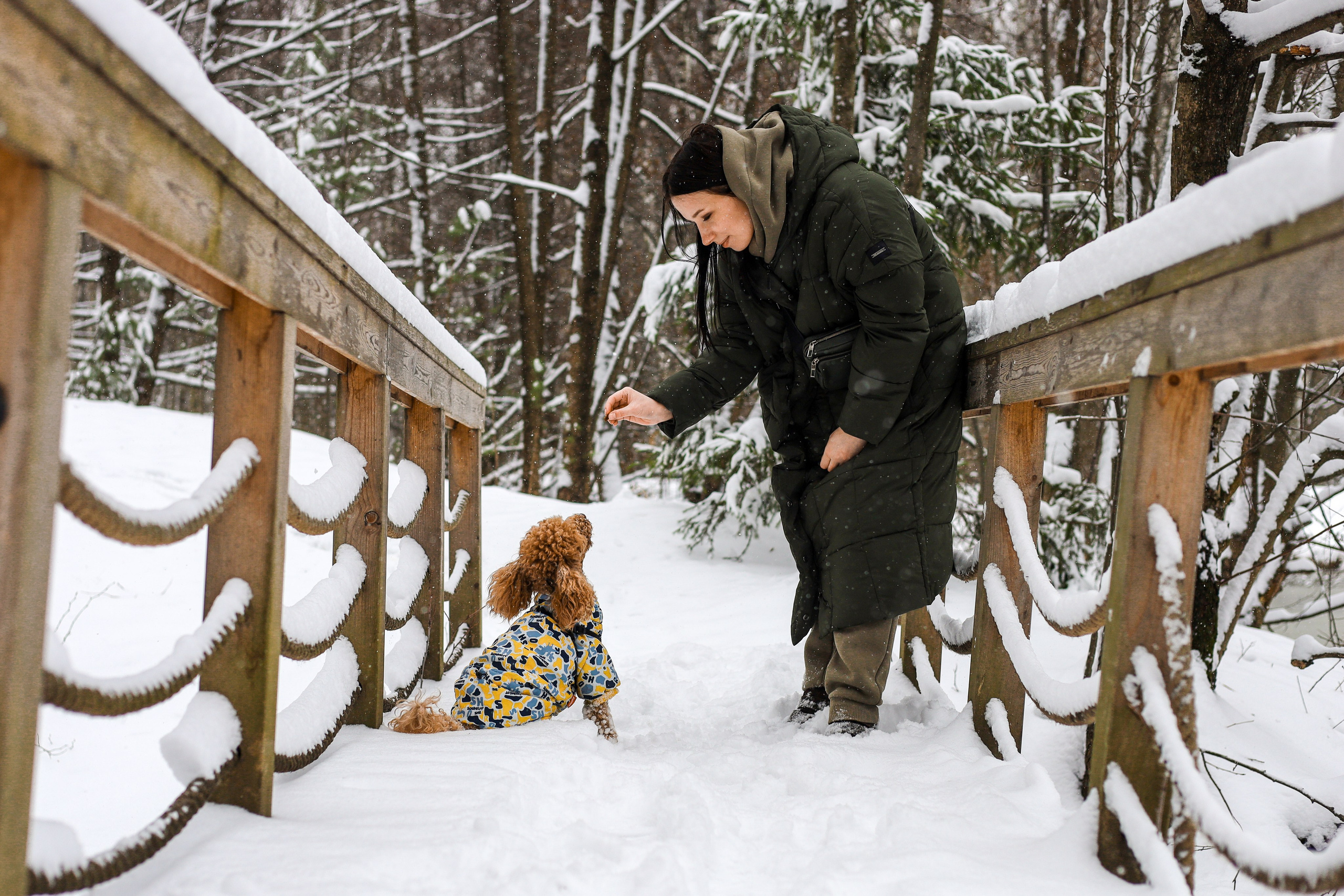 Муд и Леся. Фотограф-анималист Ксения Шевцова|Москва