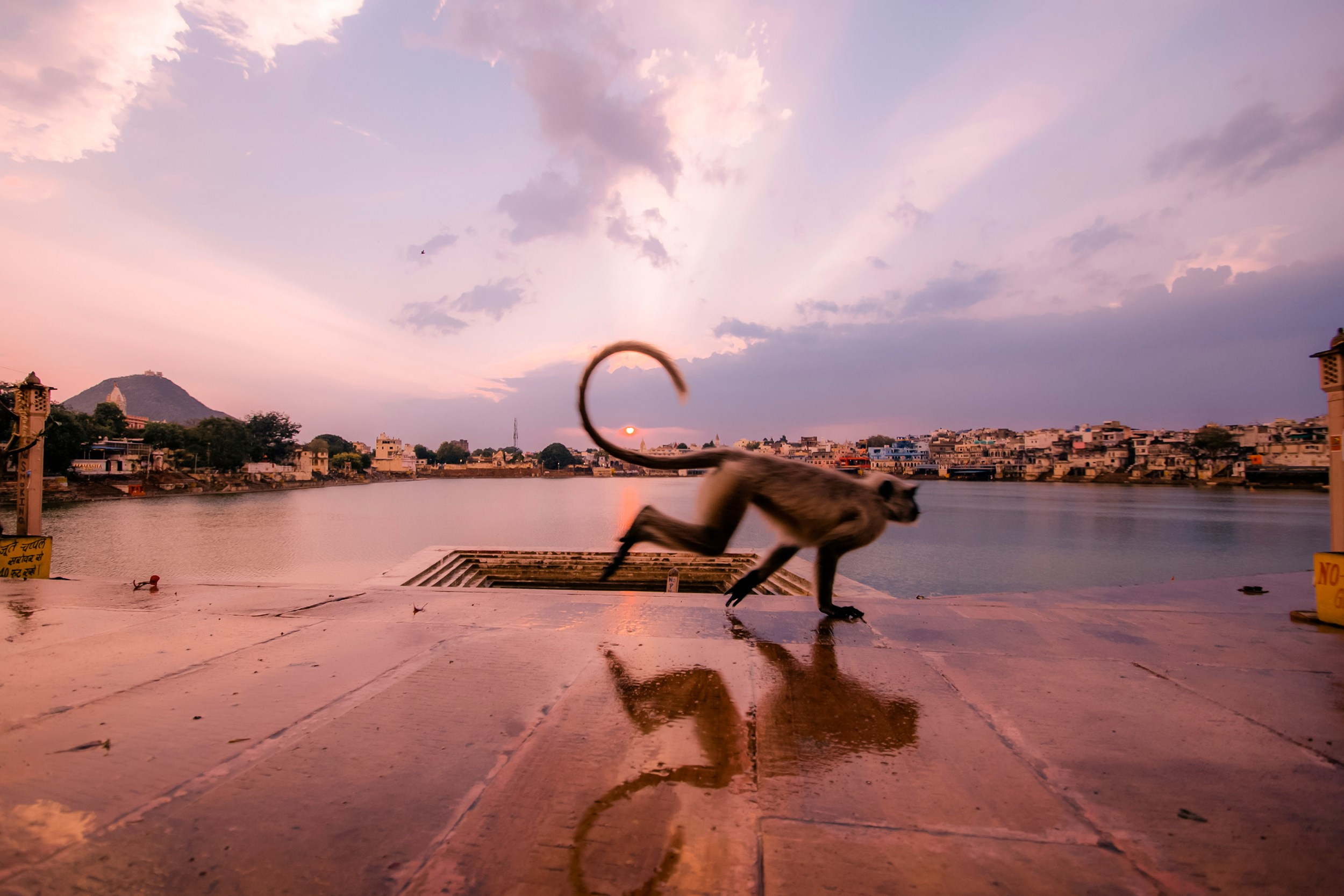 Pushkar street. Iraogo