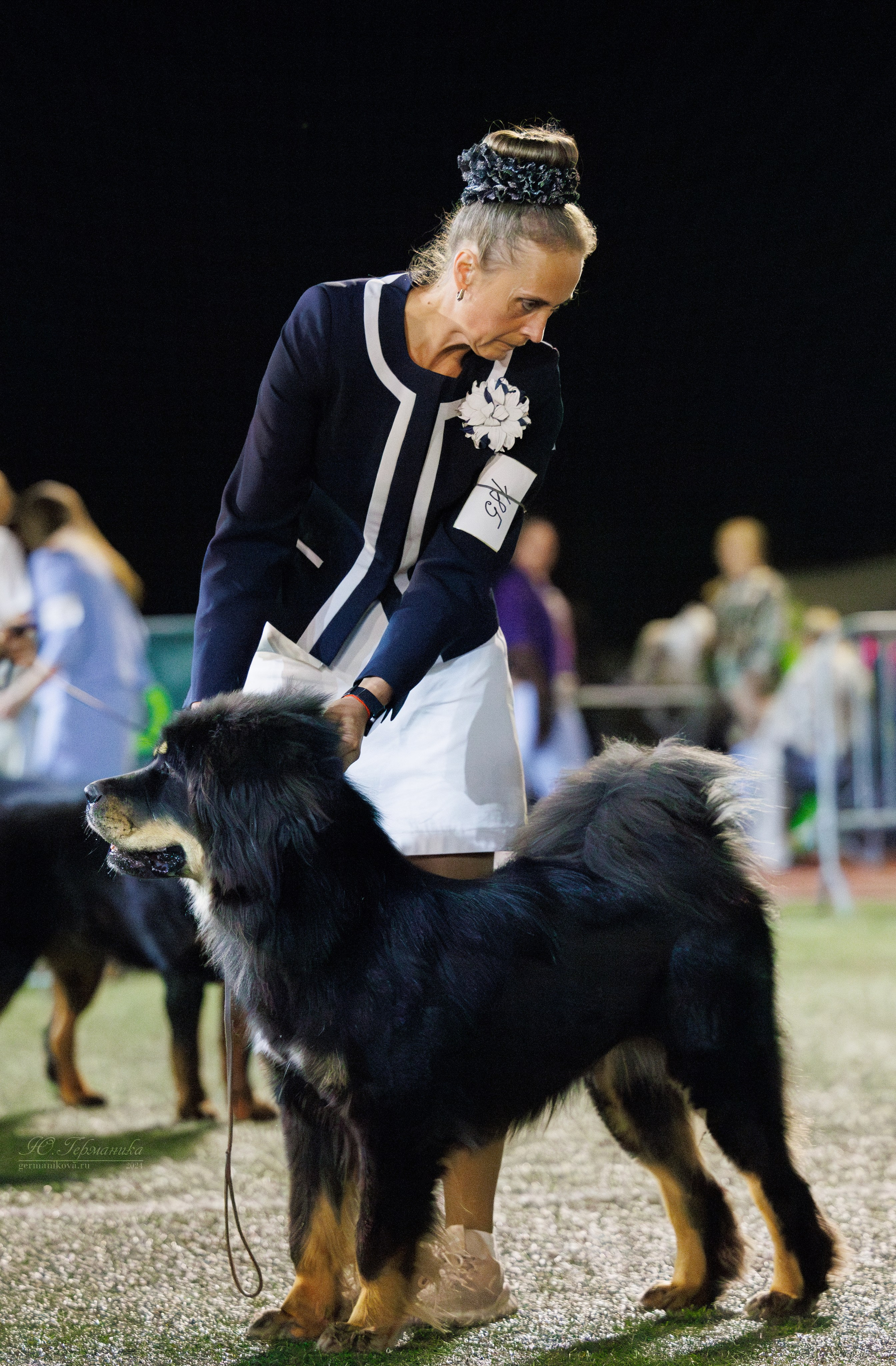 Волгоград 2-4.08.2024. Фотограф-анималист Юлия Германика
