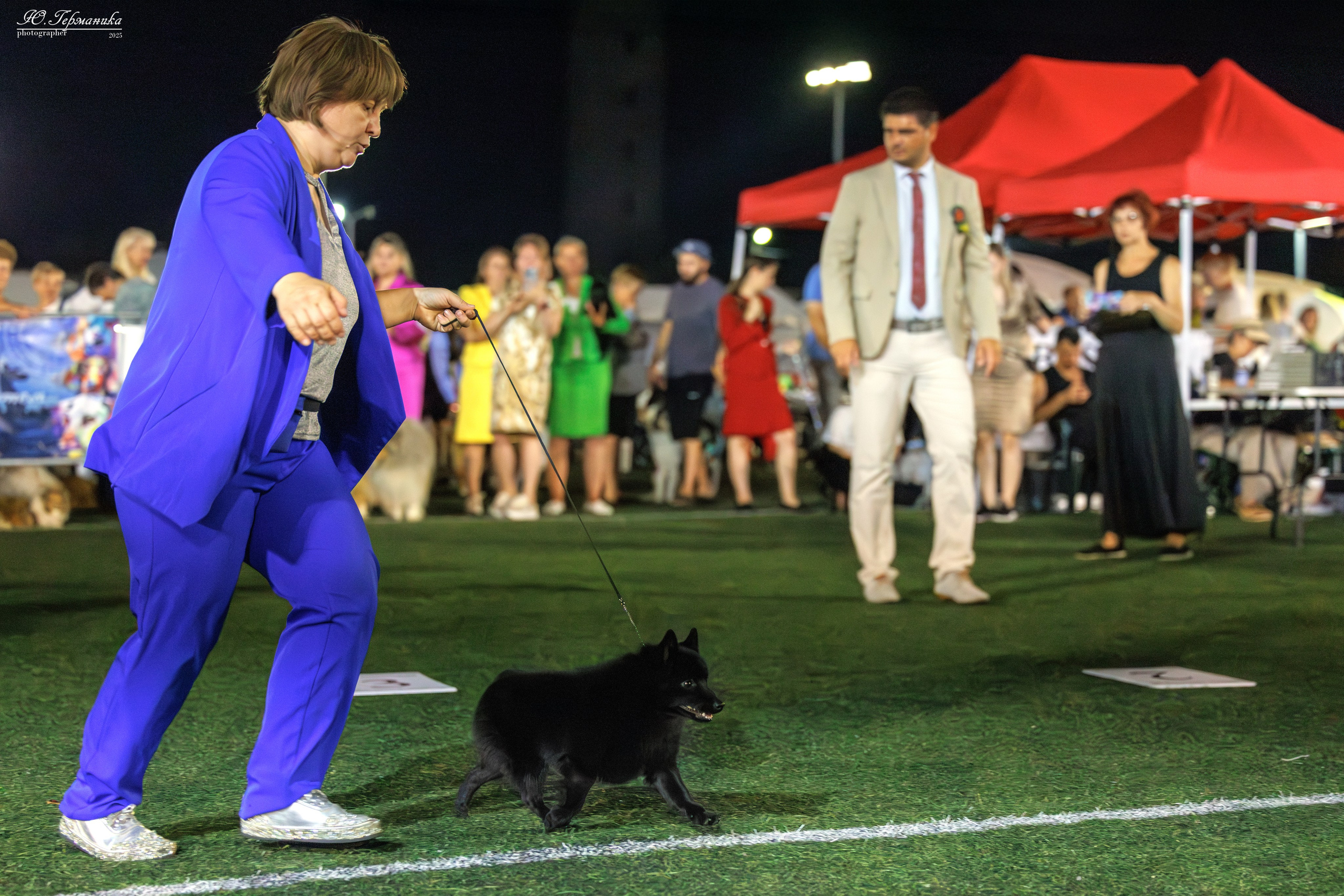 Калининград 25-27.07 Волгоград 1-3.08 2025. Фотограф-анималист Юлия Германика