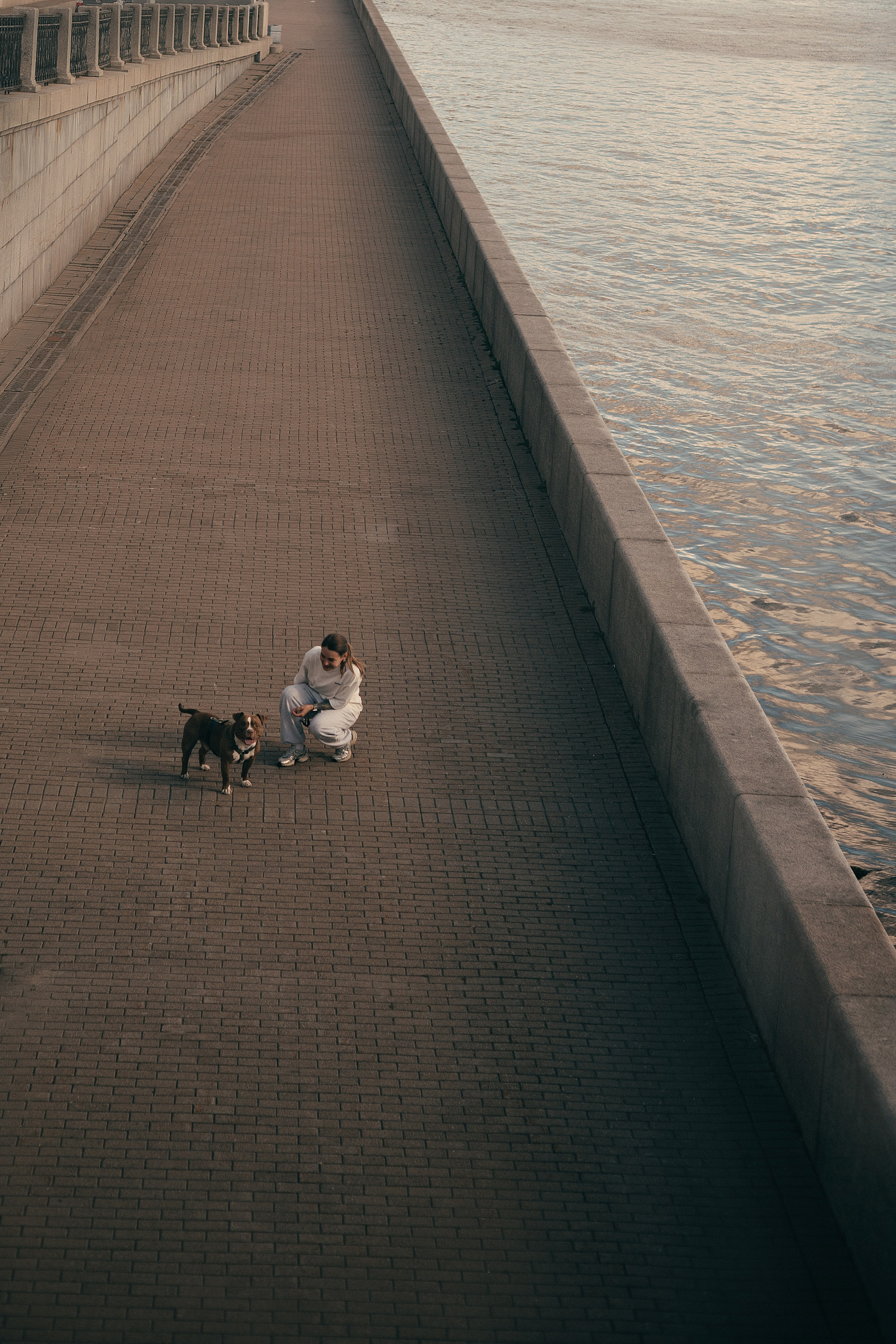 Анжела & Арес. Фотограф — анималист •love-story•|Санкт-Петербург