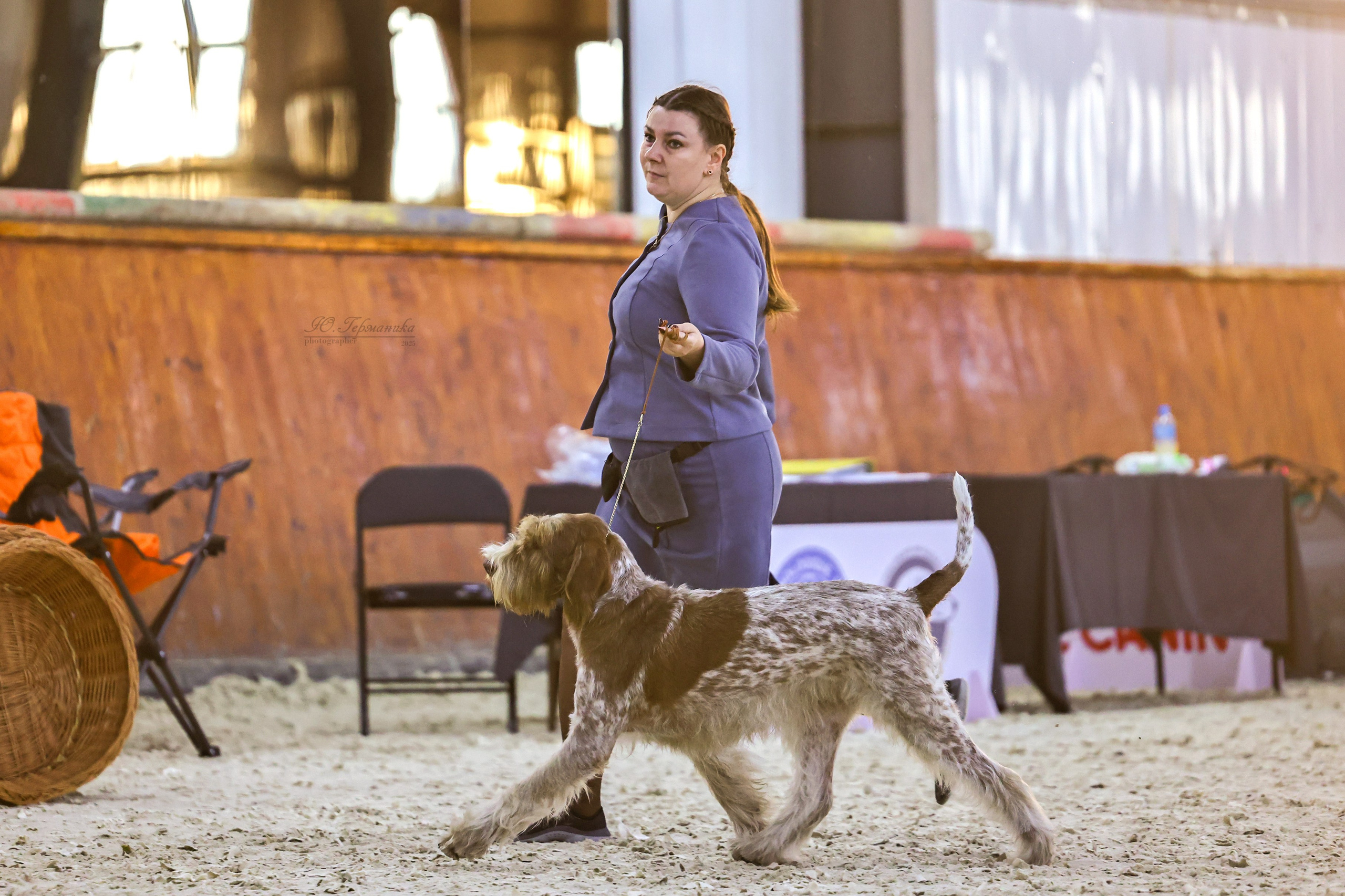 Астана 2хCACIB 26-28.09.2025. Фотограф-анималист Юлия Германика