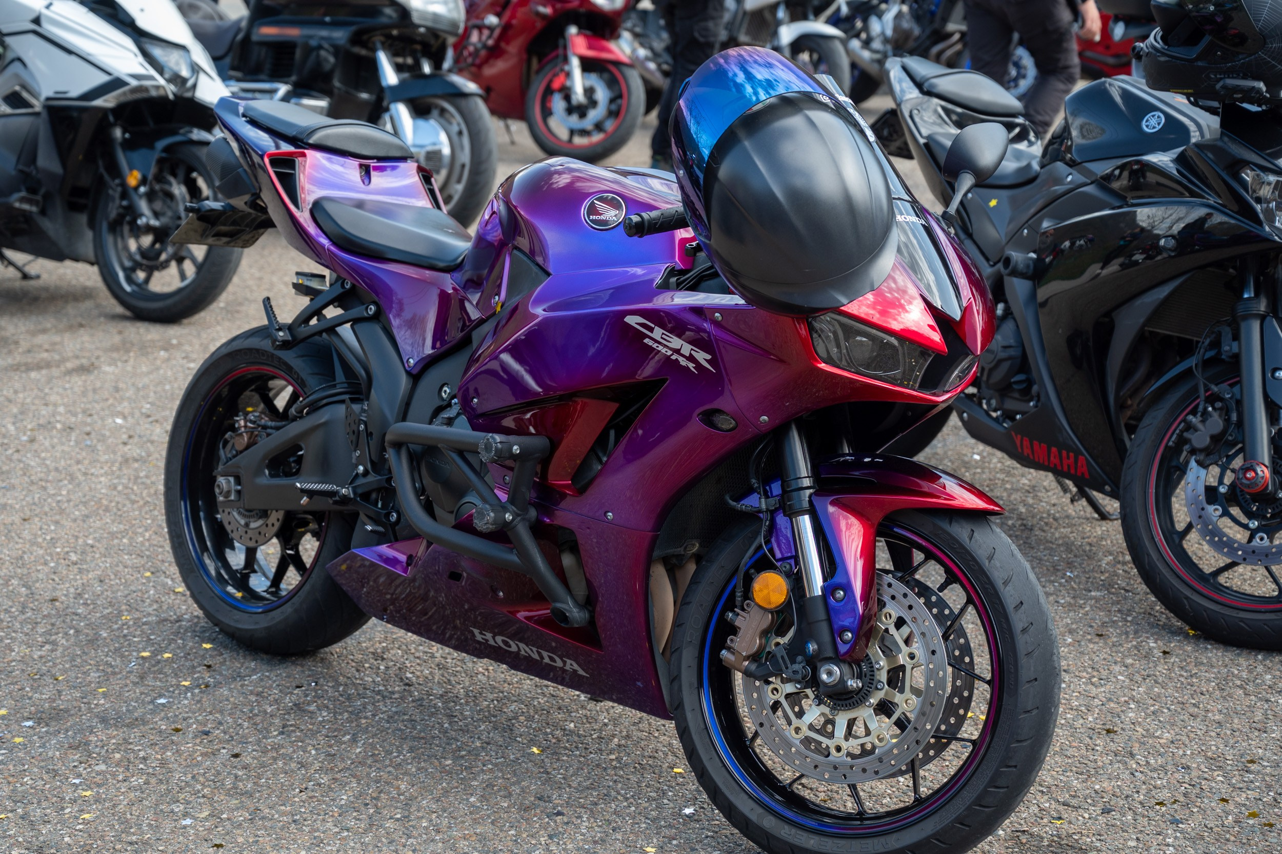 Bad girls sochi 29.03.2025. Фотографирую счастливых людей в Сочи