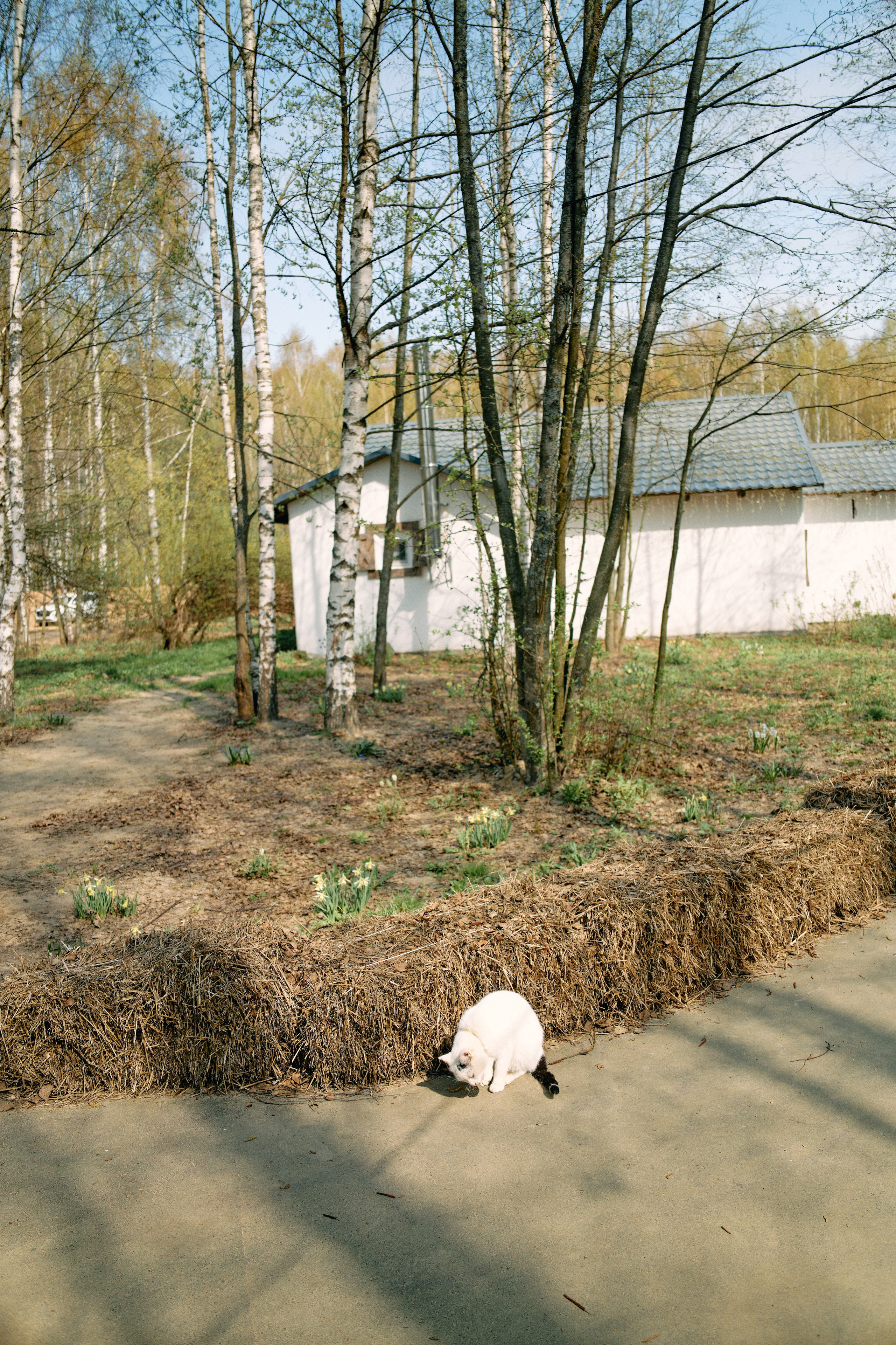 Бутик-отель Поле летом. Профессиональный Фотограф во Владимире, в Москве и в Суздале — Полина Романычева