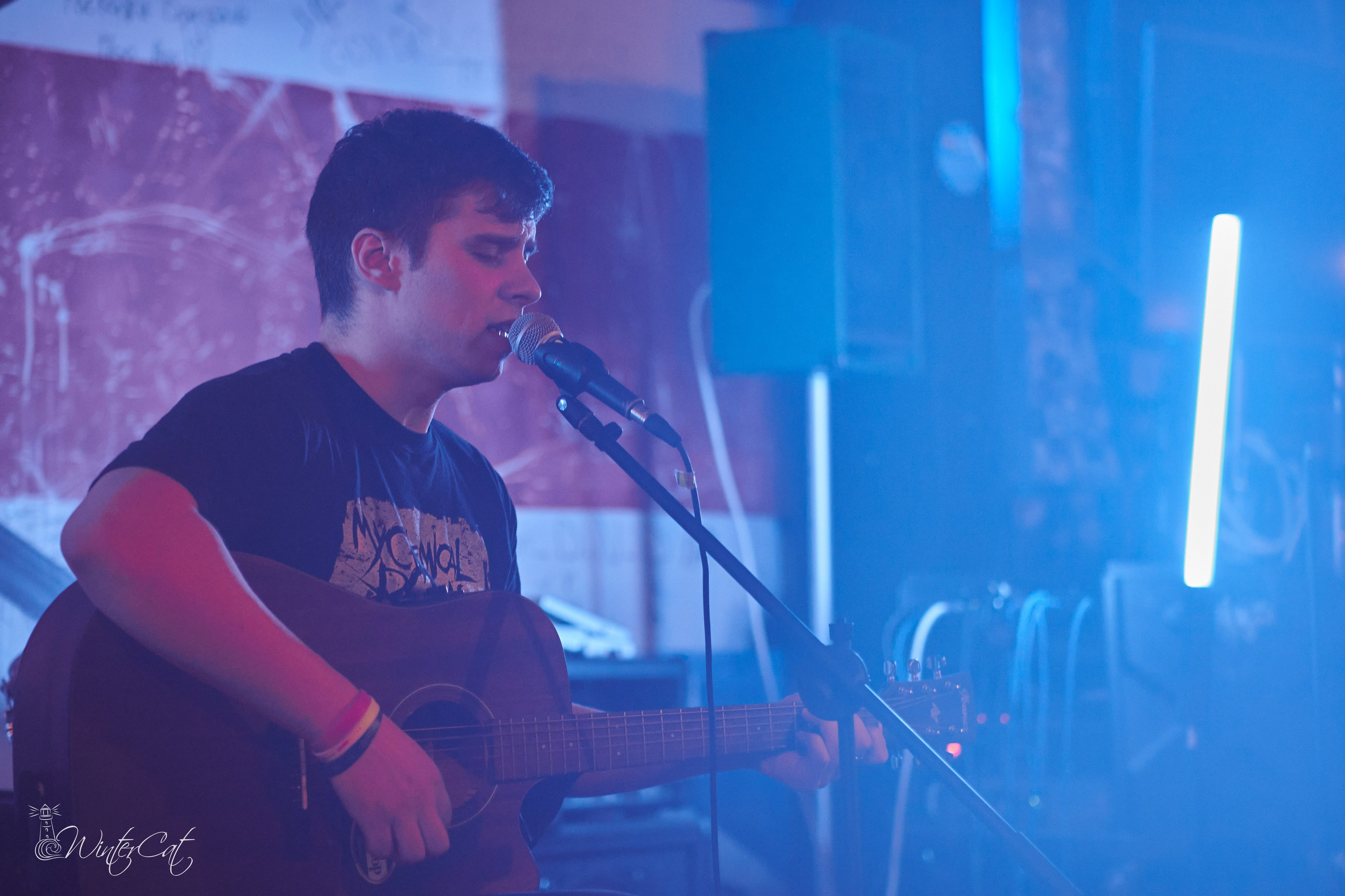 День Рождения Честер Четыре Года. Портретный и репортажный фотограф в Магадане Андрей Нефедов WinterCatPhoto