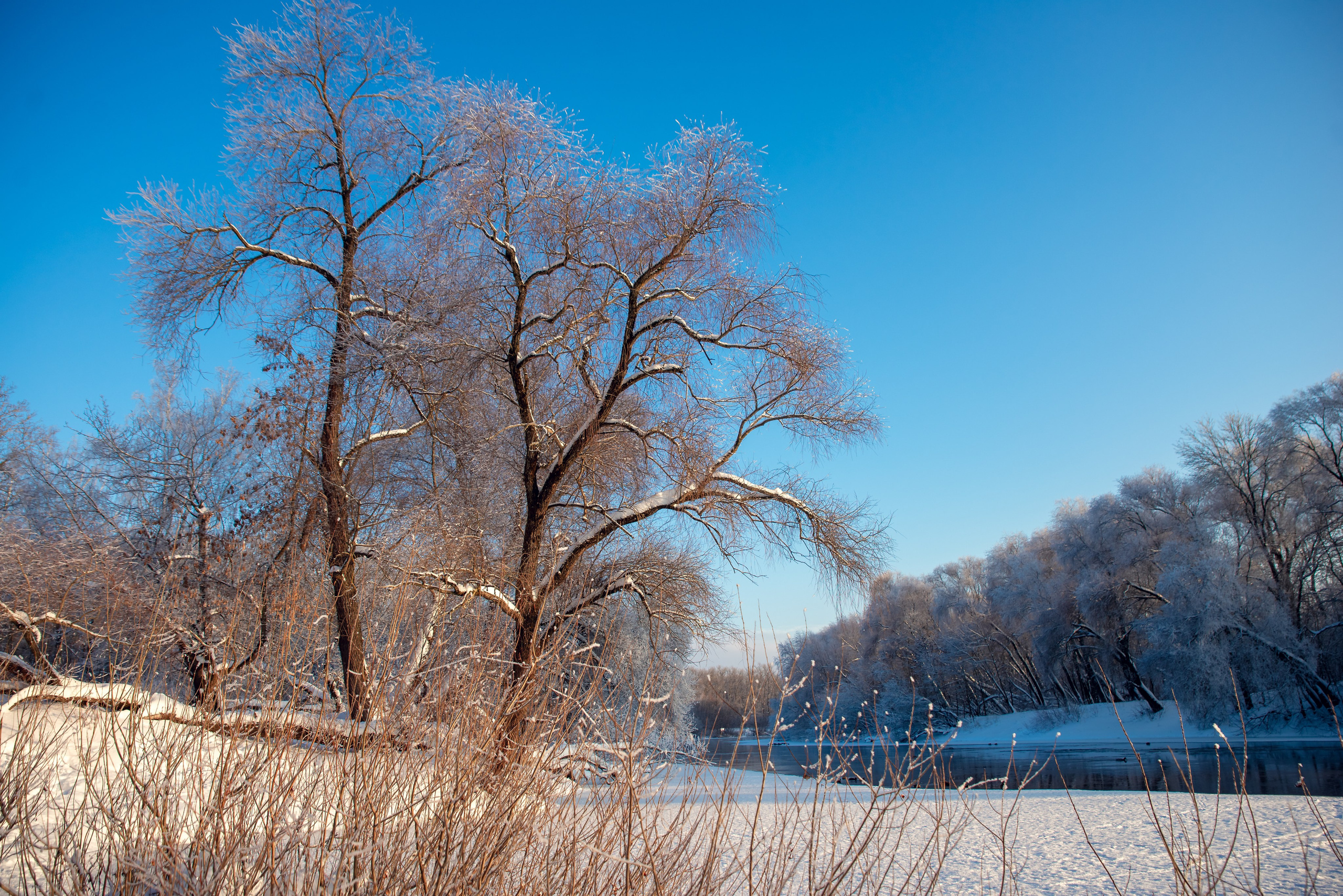Зимушка зима. Фотограф Крещение Венчание Москва