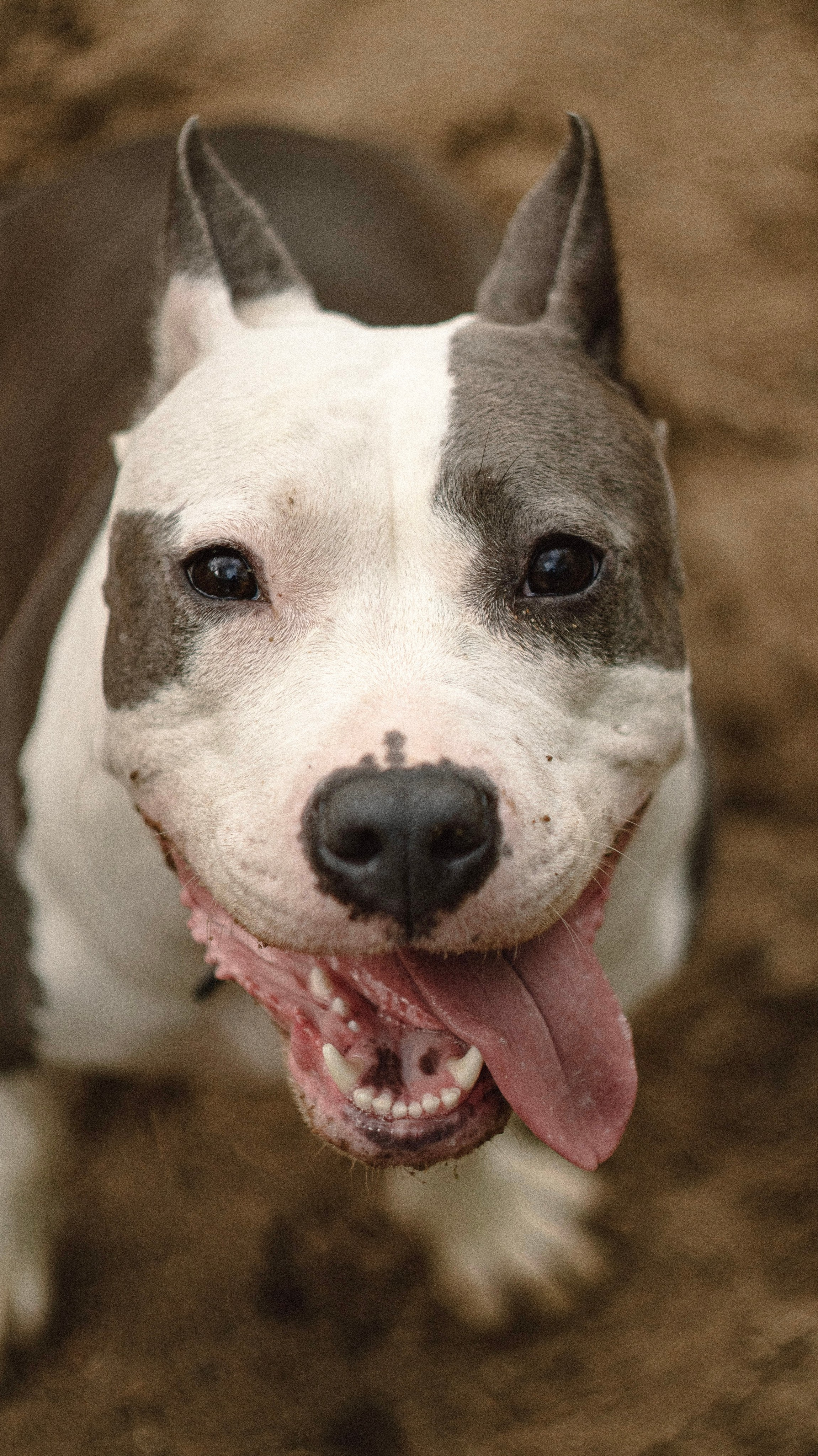 Луна. Профессиональный фотограф