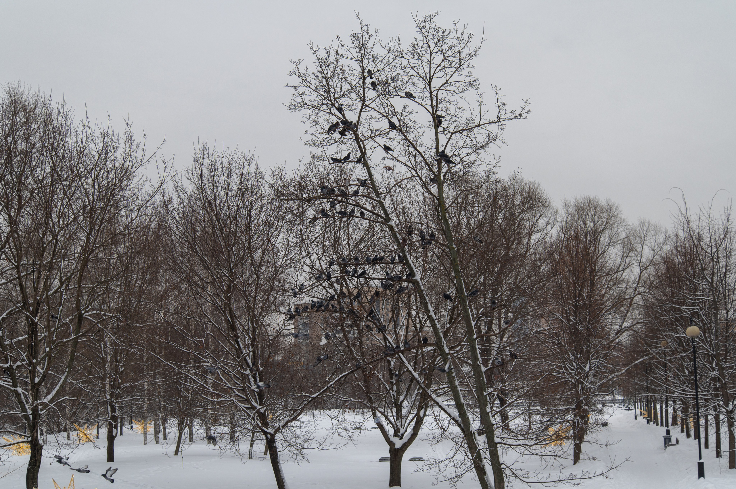 20240127 Ростокинский акведук. Дмитрий Ремизов. Фотография, как хобби