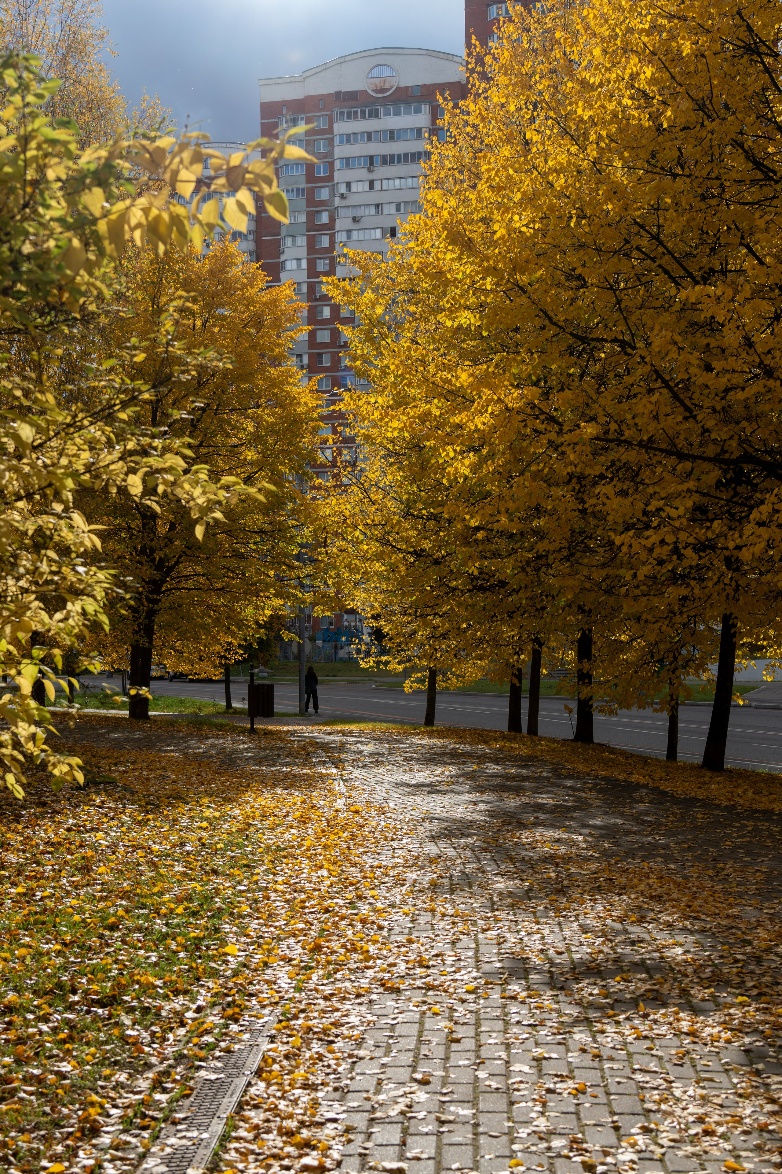 20251012 МГУ. Дмитрий Ремизов. Фотография, как хобби